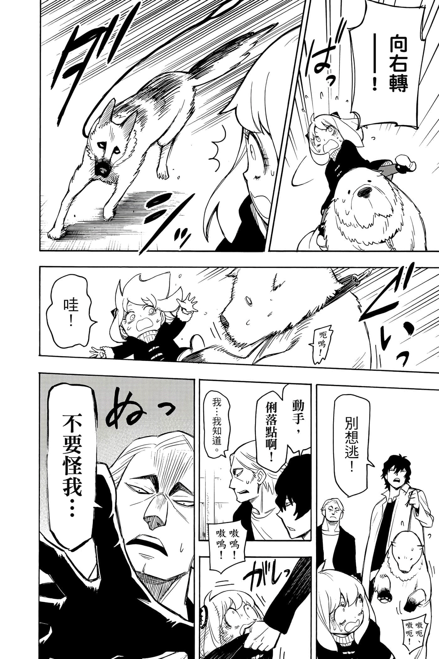第 53 页