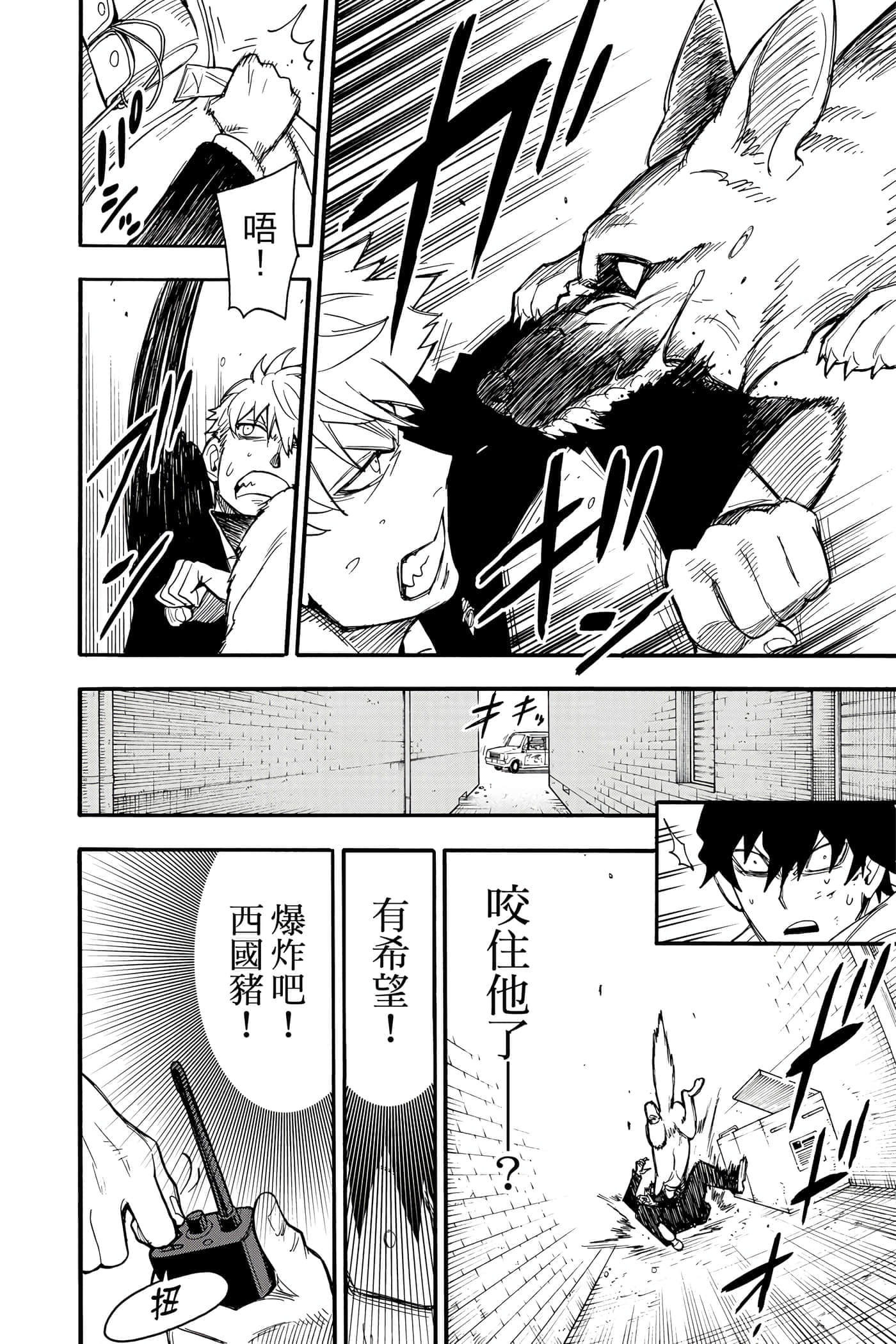 第 113 页
