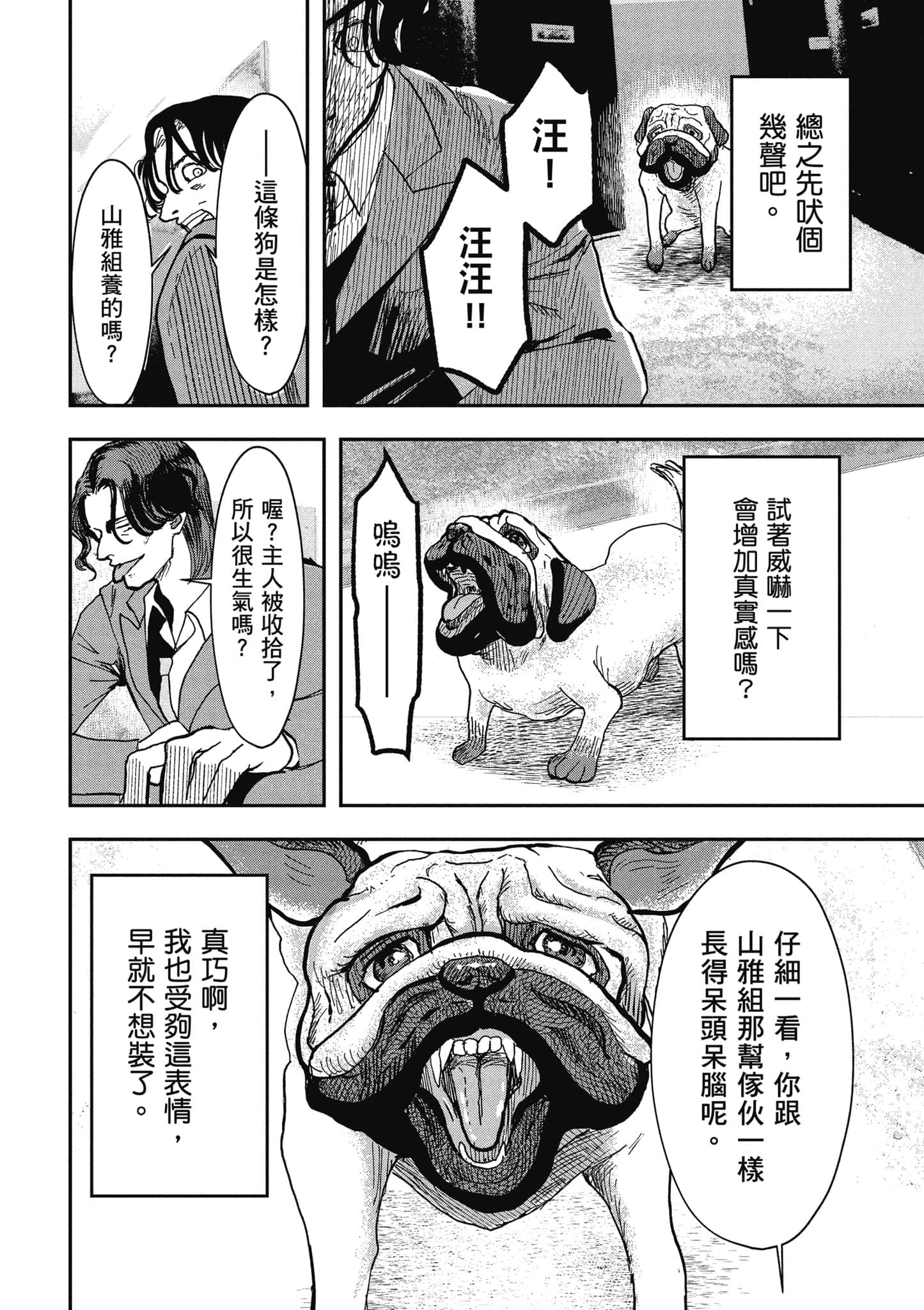 第 43 页