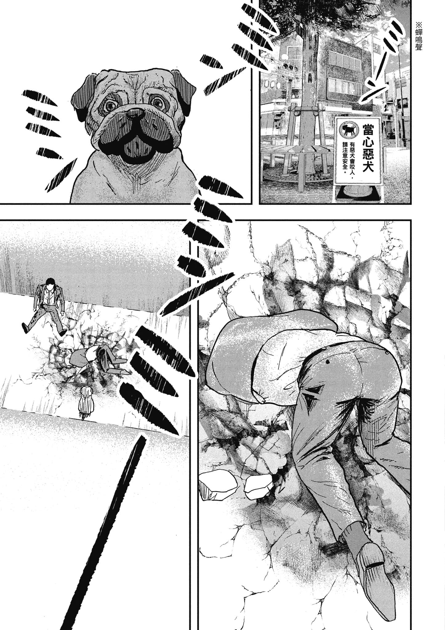 第 46 页