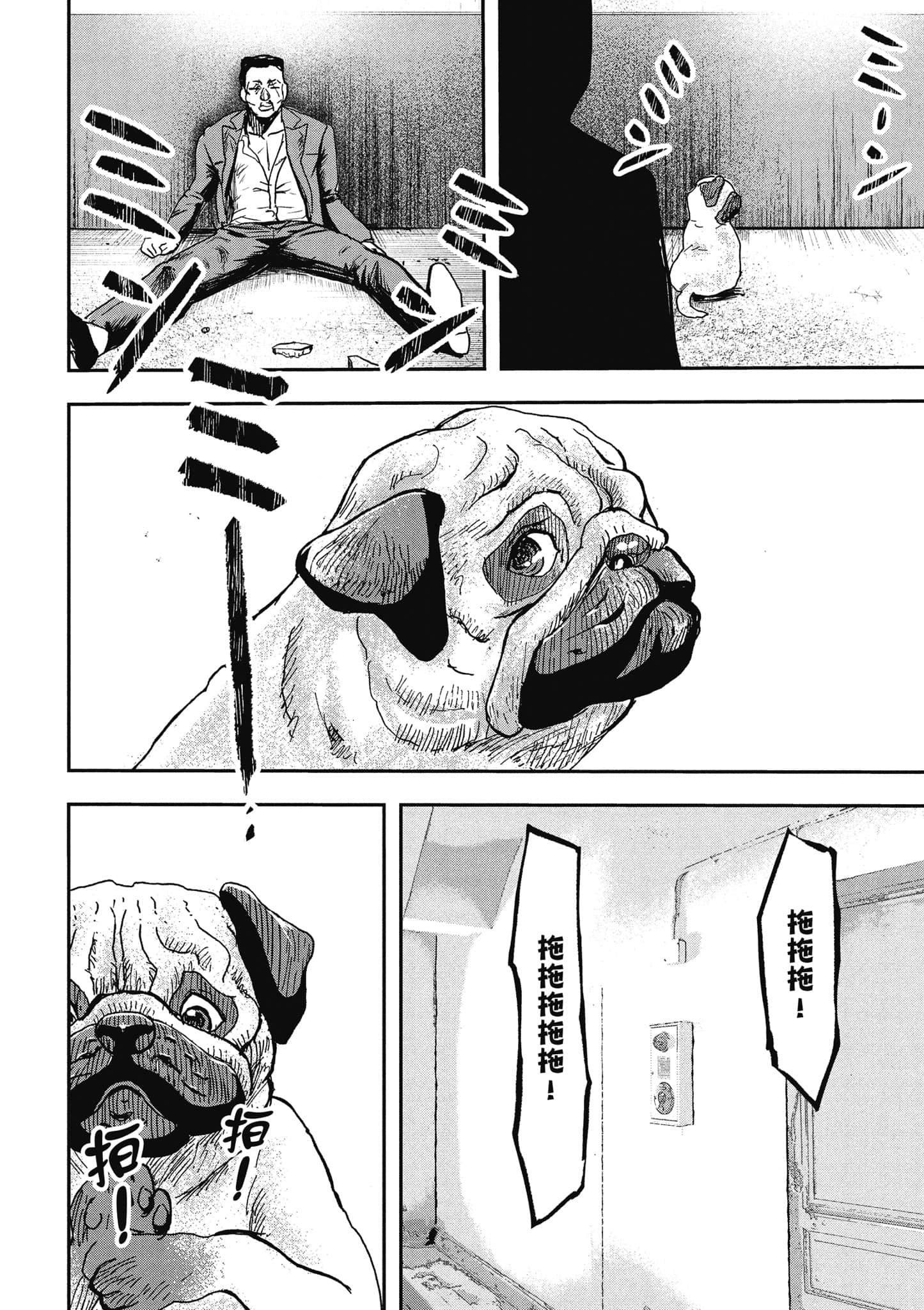 第 47 页