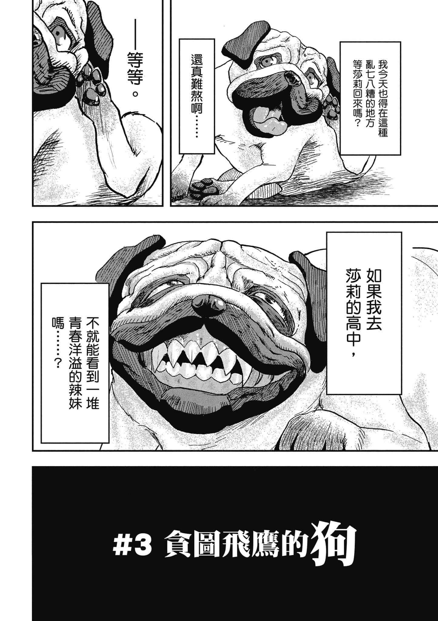 第 51 页