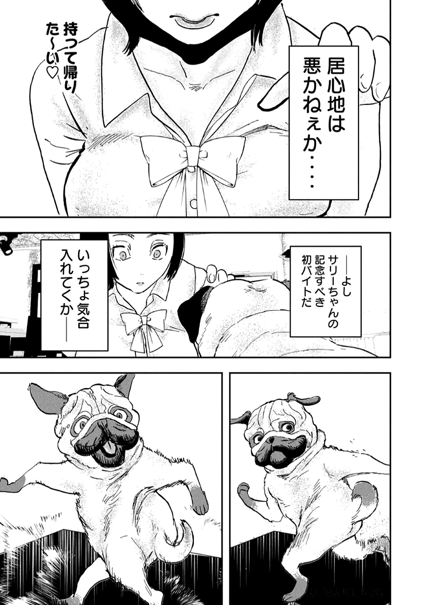 第 21 页