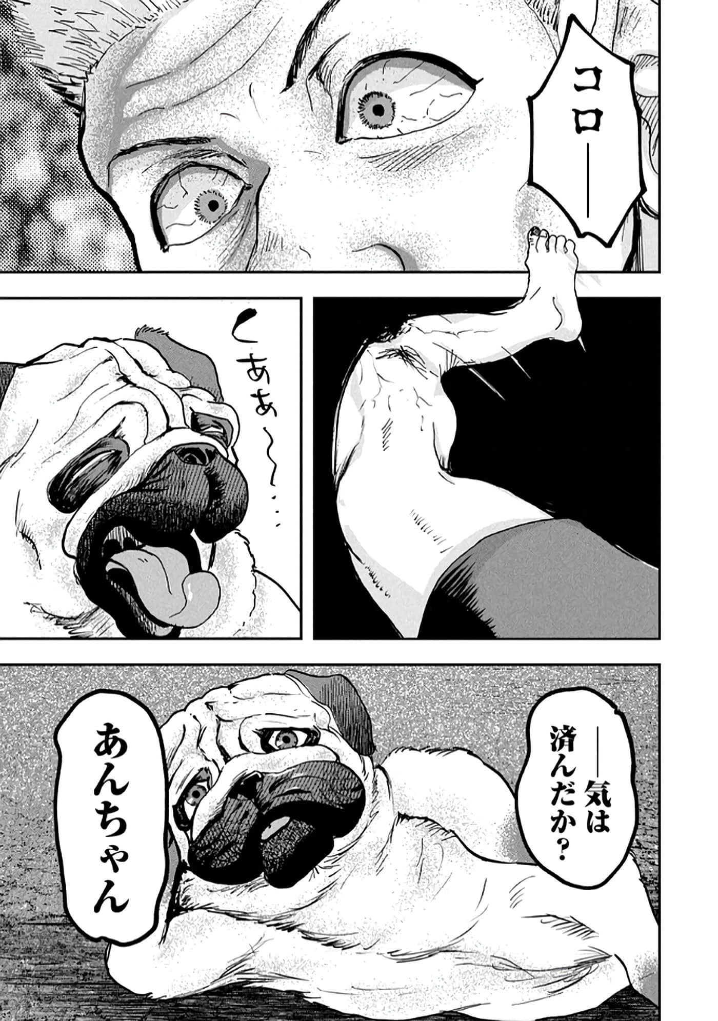 第 37 页