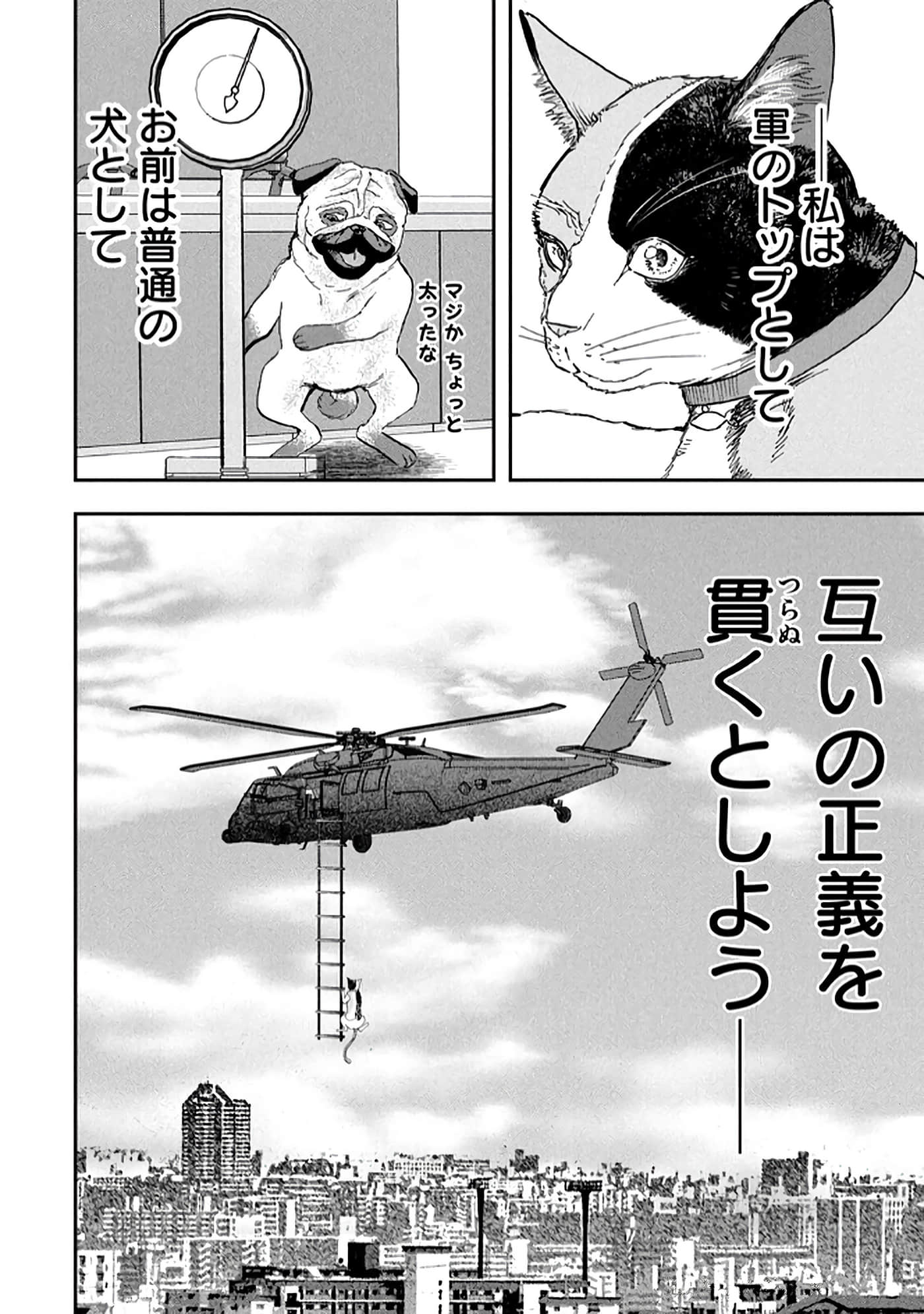 第 182 页