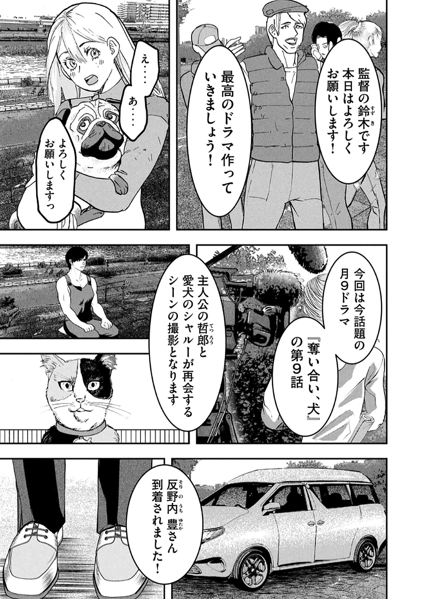 第 11 页