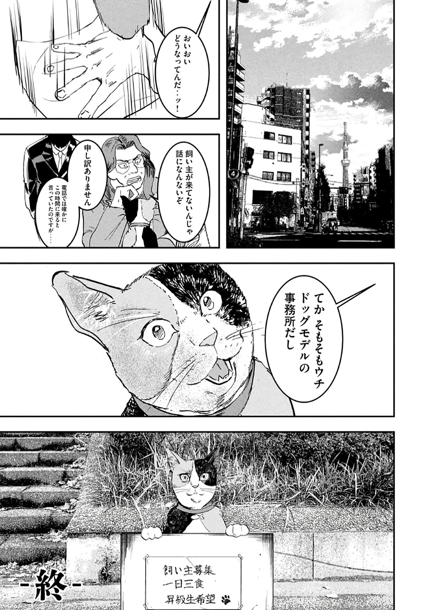 第 23 页