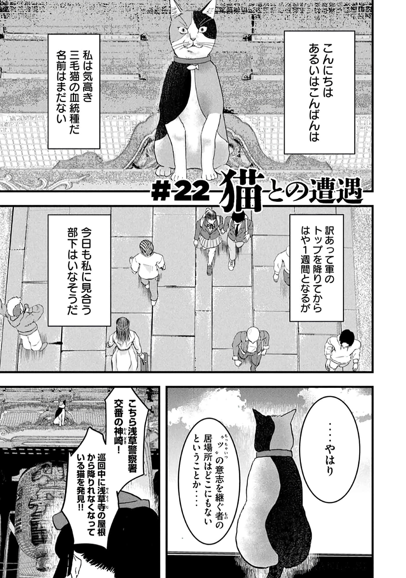 第 83 页
