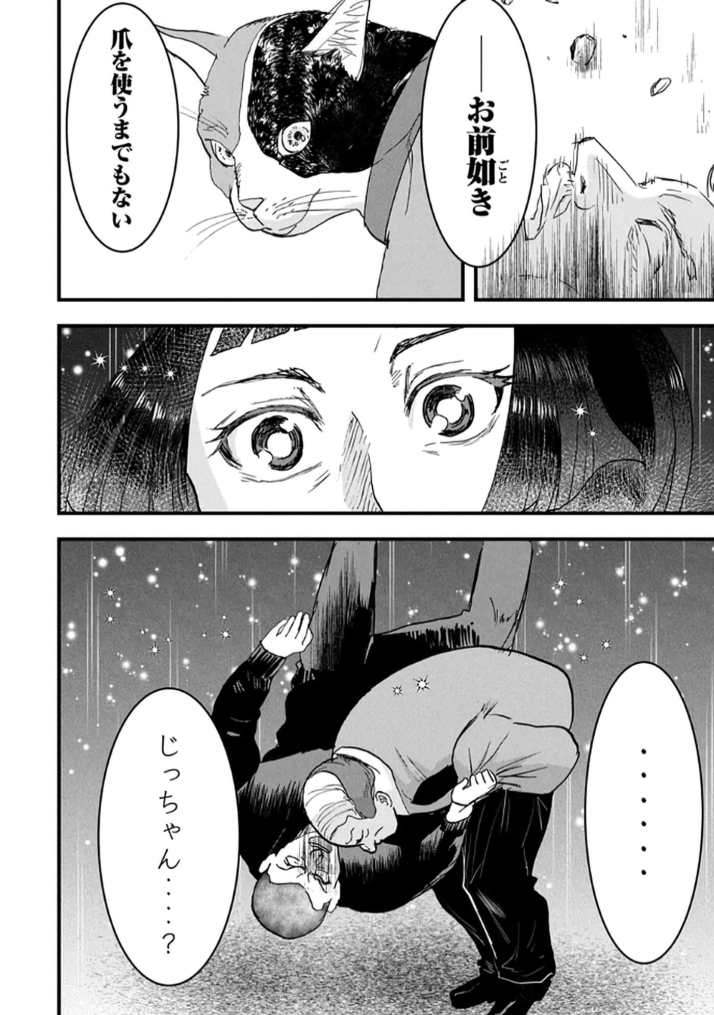 第 96 页