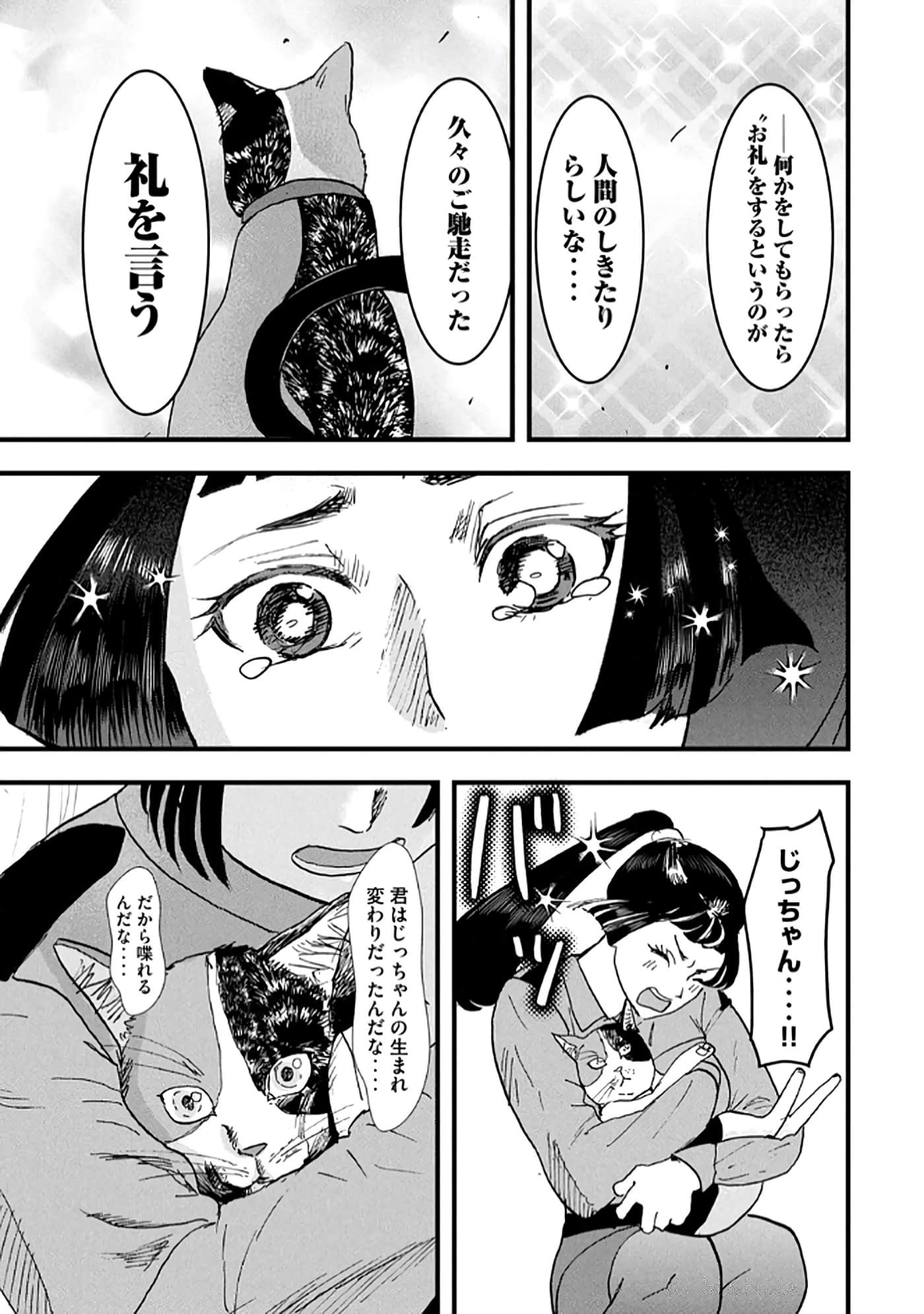 第 97 页