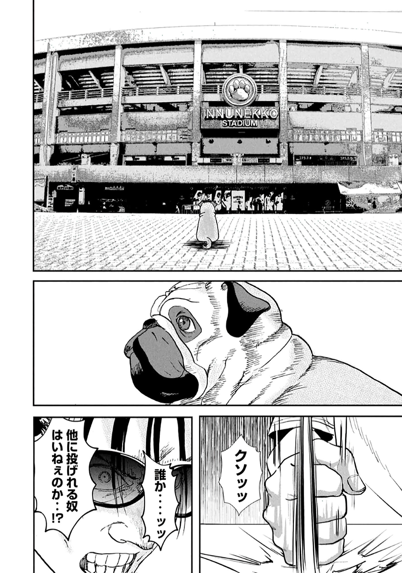 第 116 页