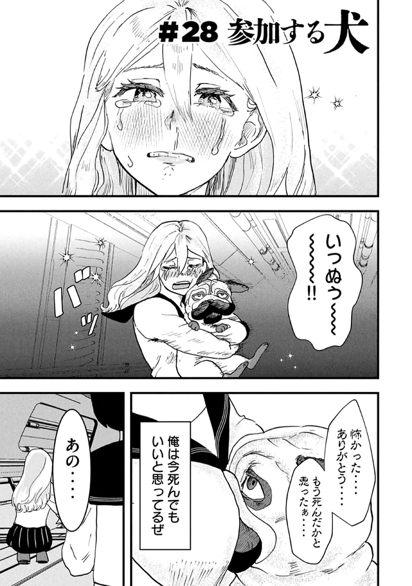 第 29 页
