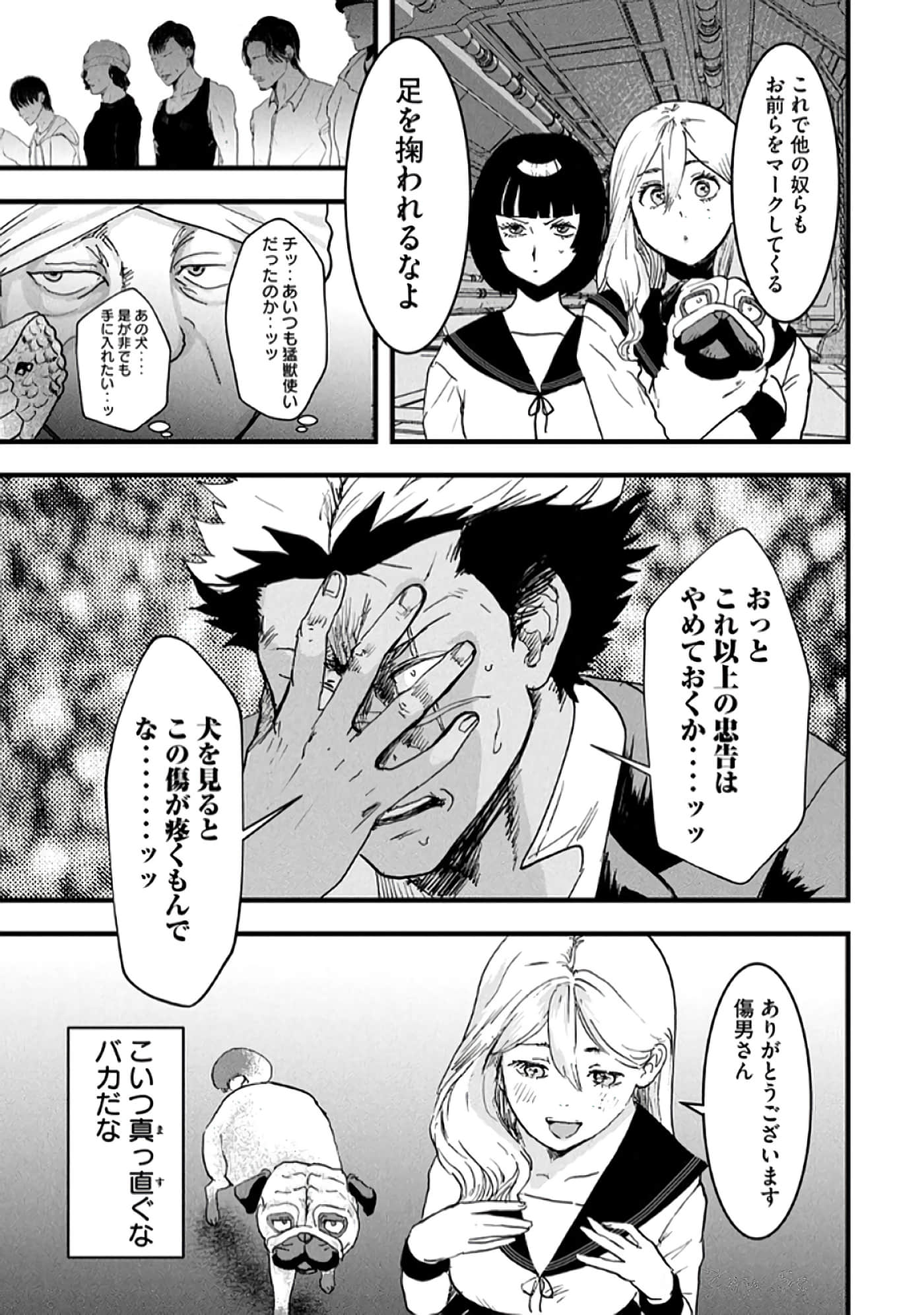 第 33 页