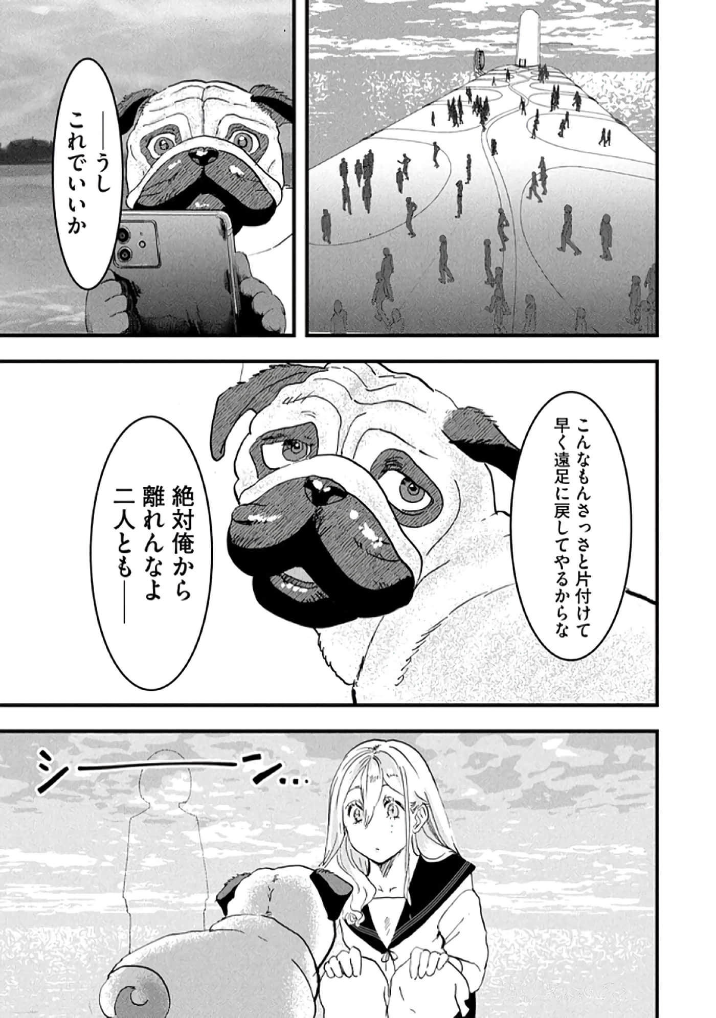 第 47 页