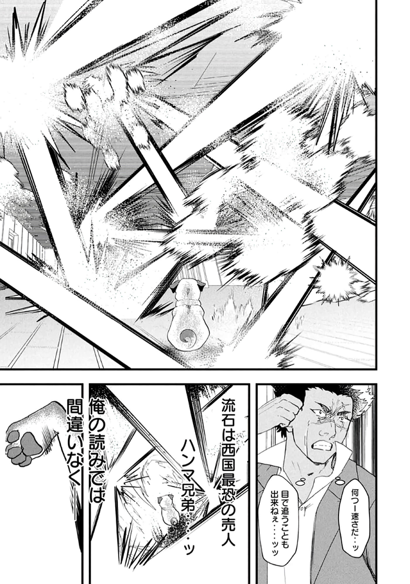 第 59 页