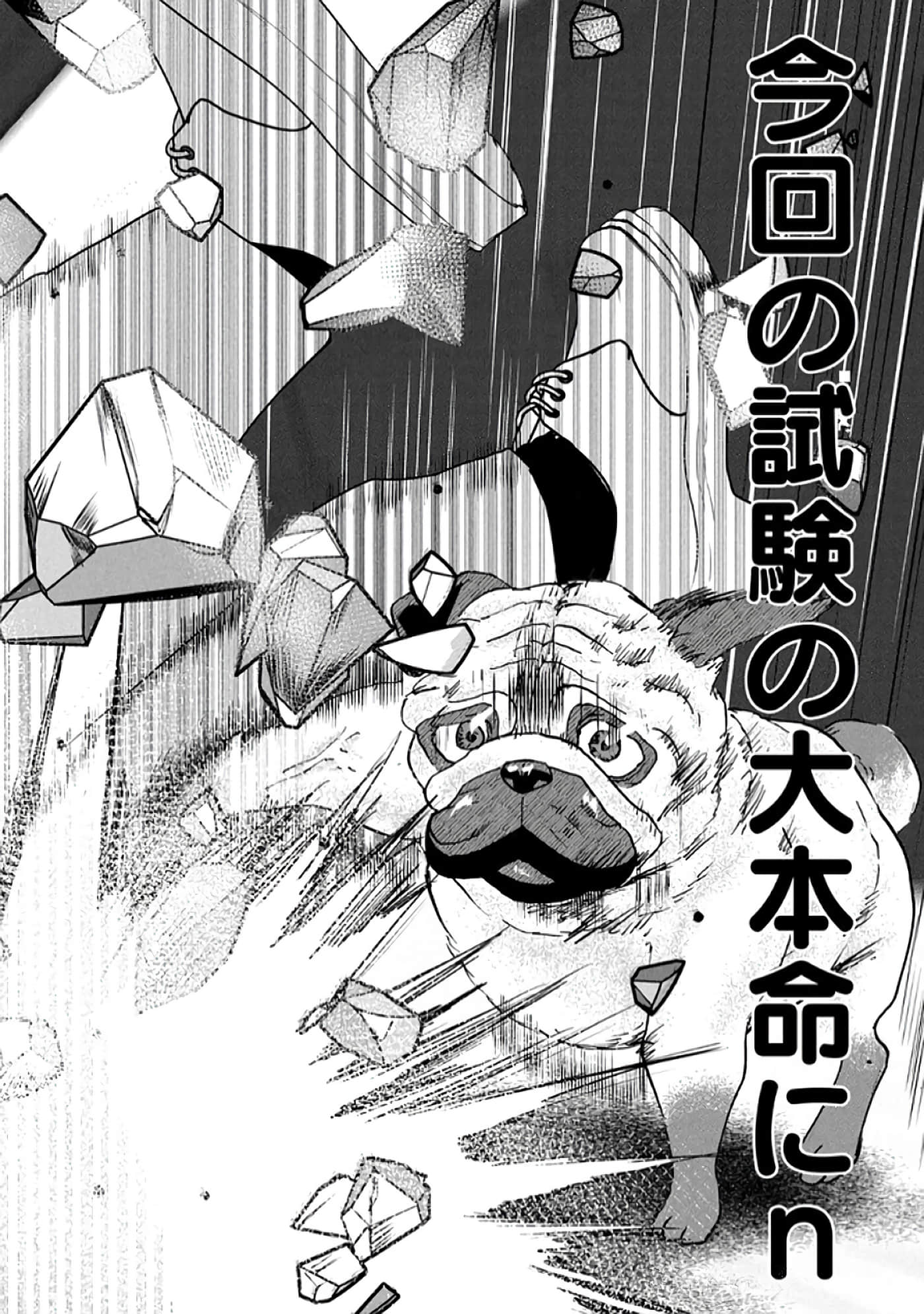第 60 页