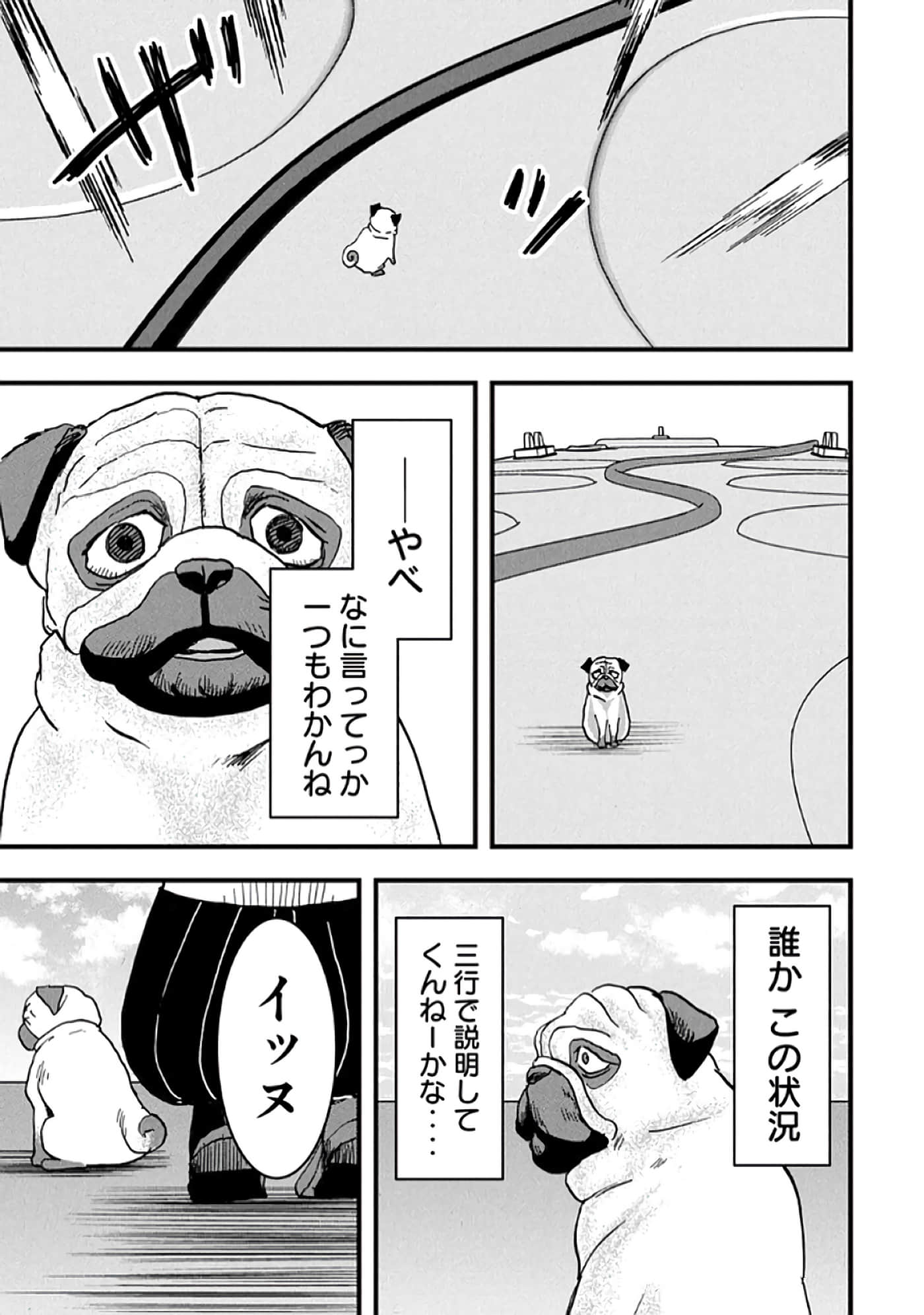 第 127 页