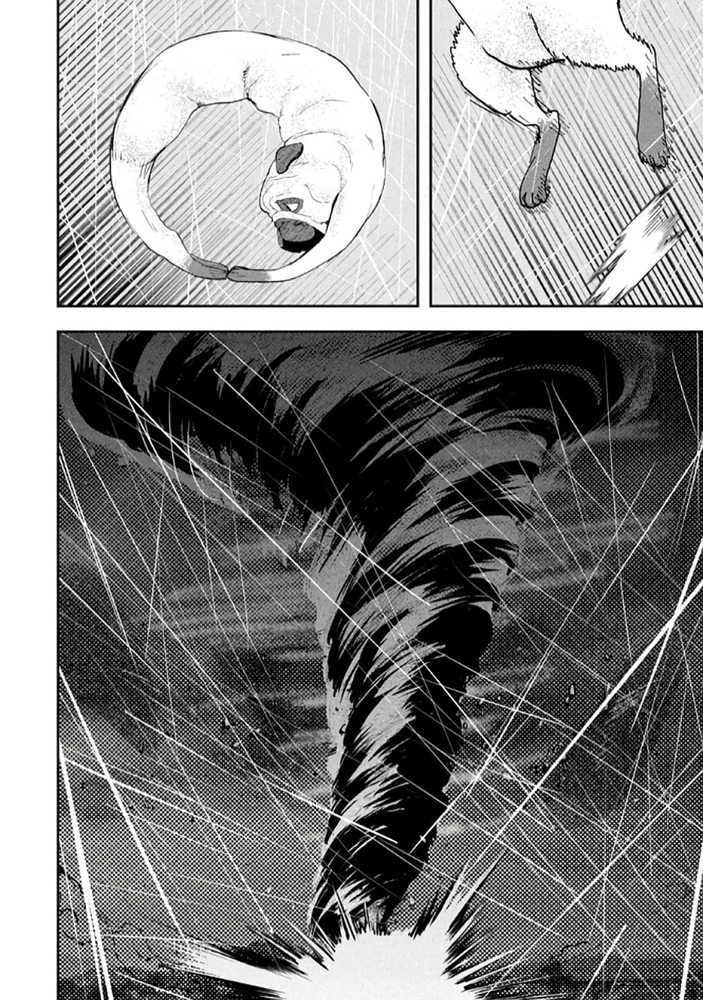 第 146 页