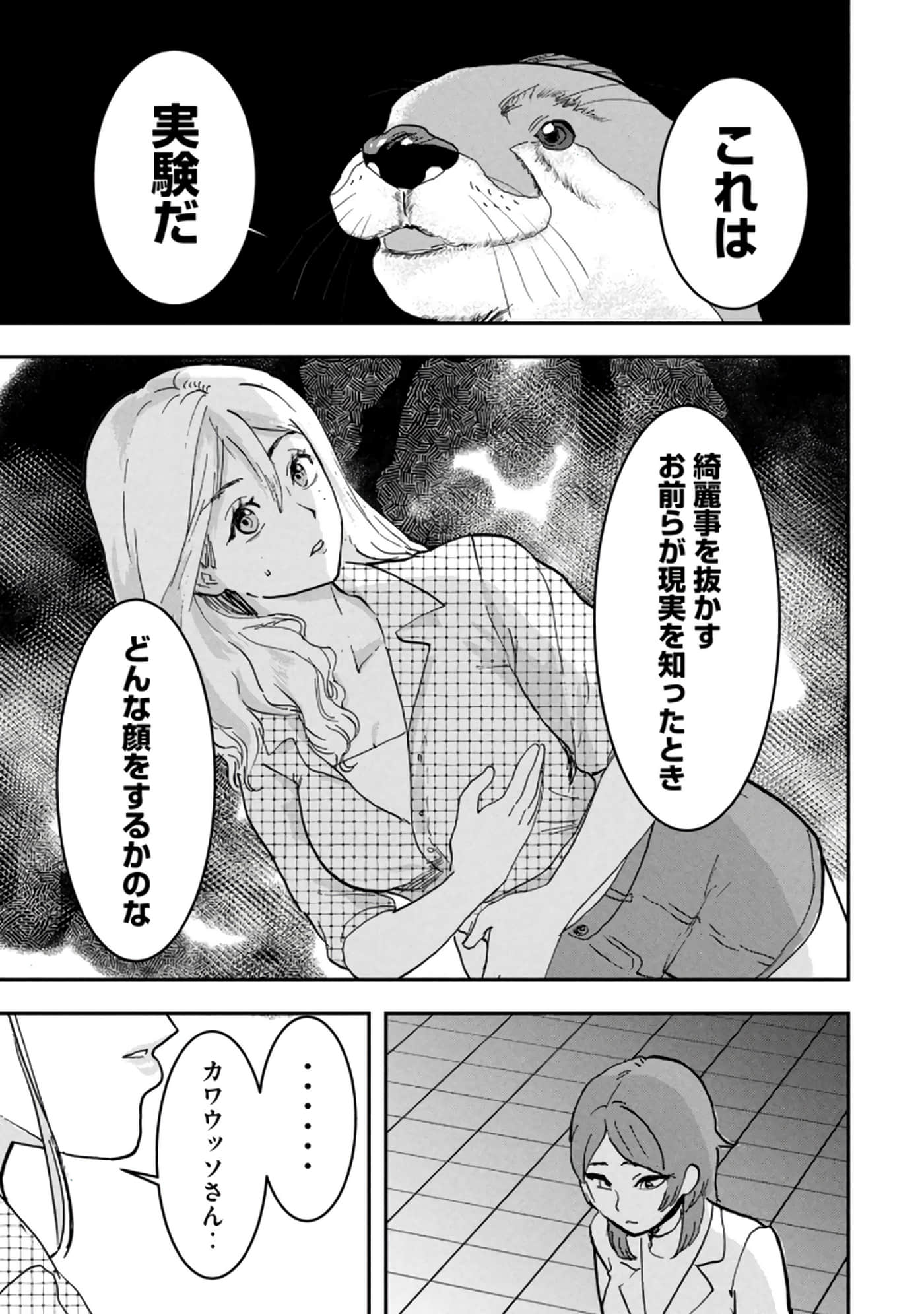 第 55 页