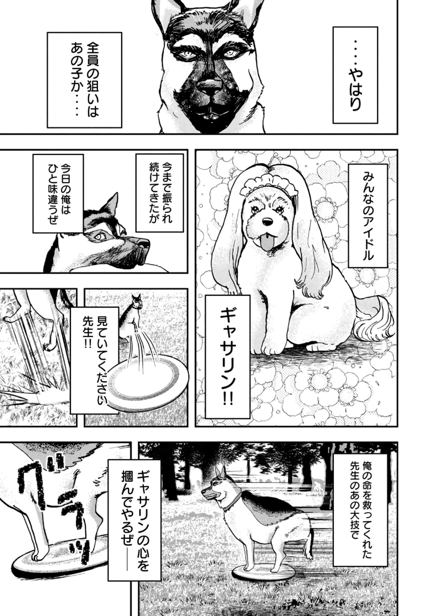 第 71 页