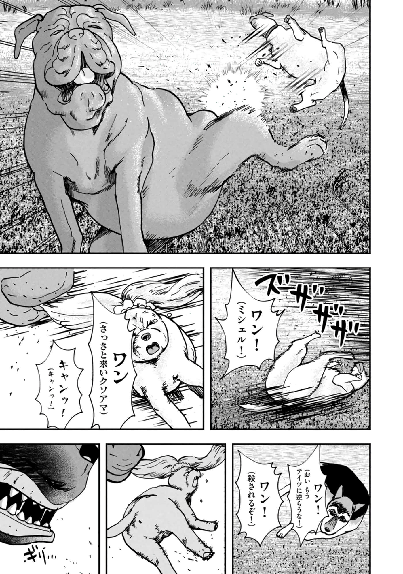 第 75 页