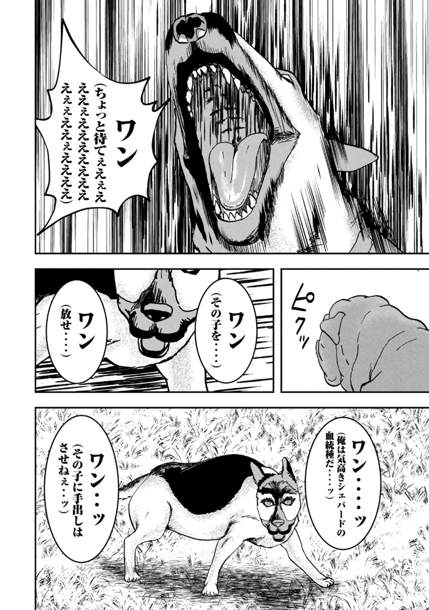 第 76 页