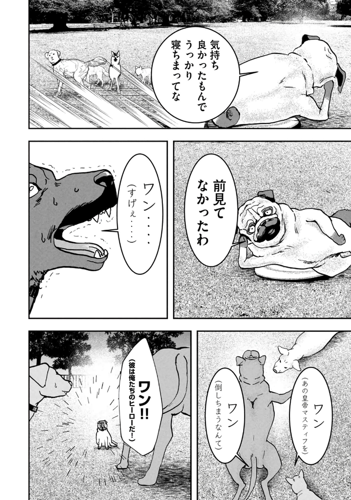 第 80 页