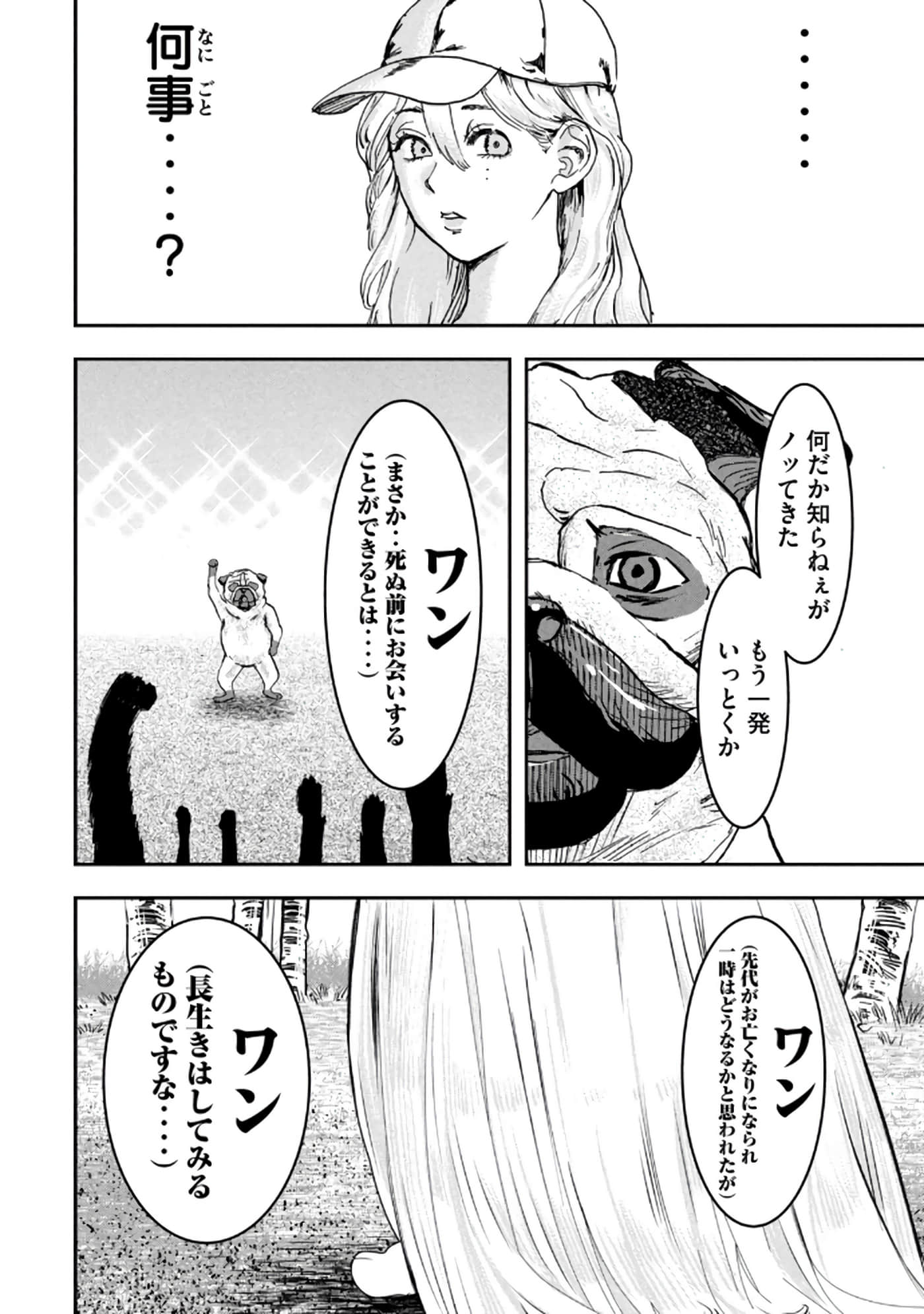 第 84 页