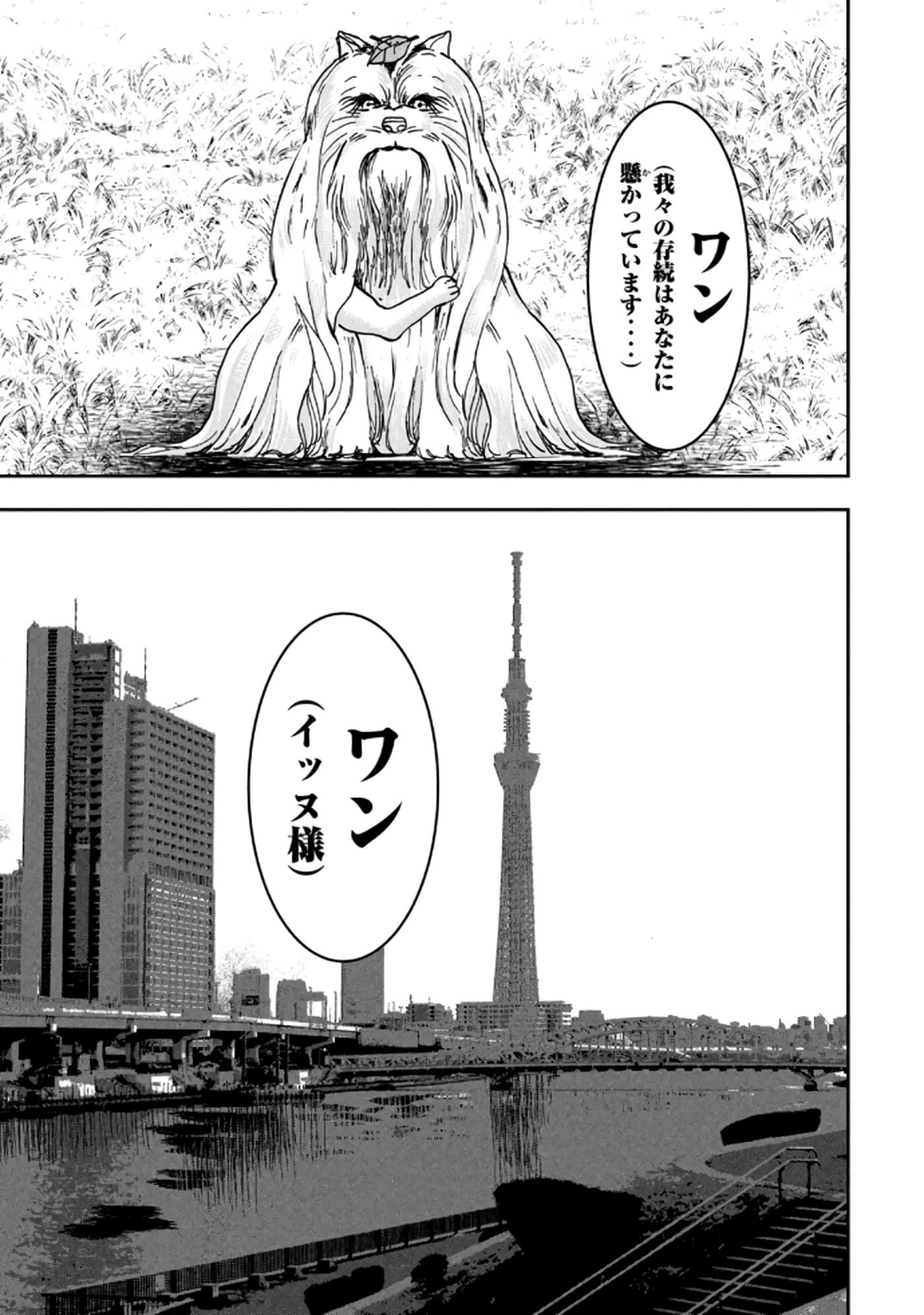 第 85 页