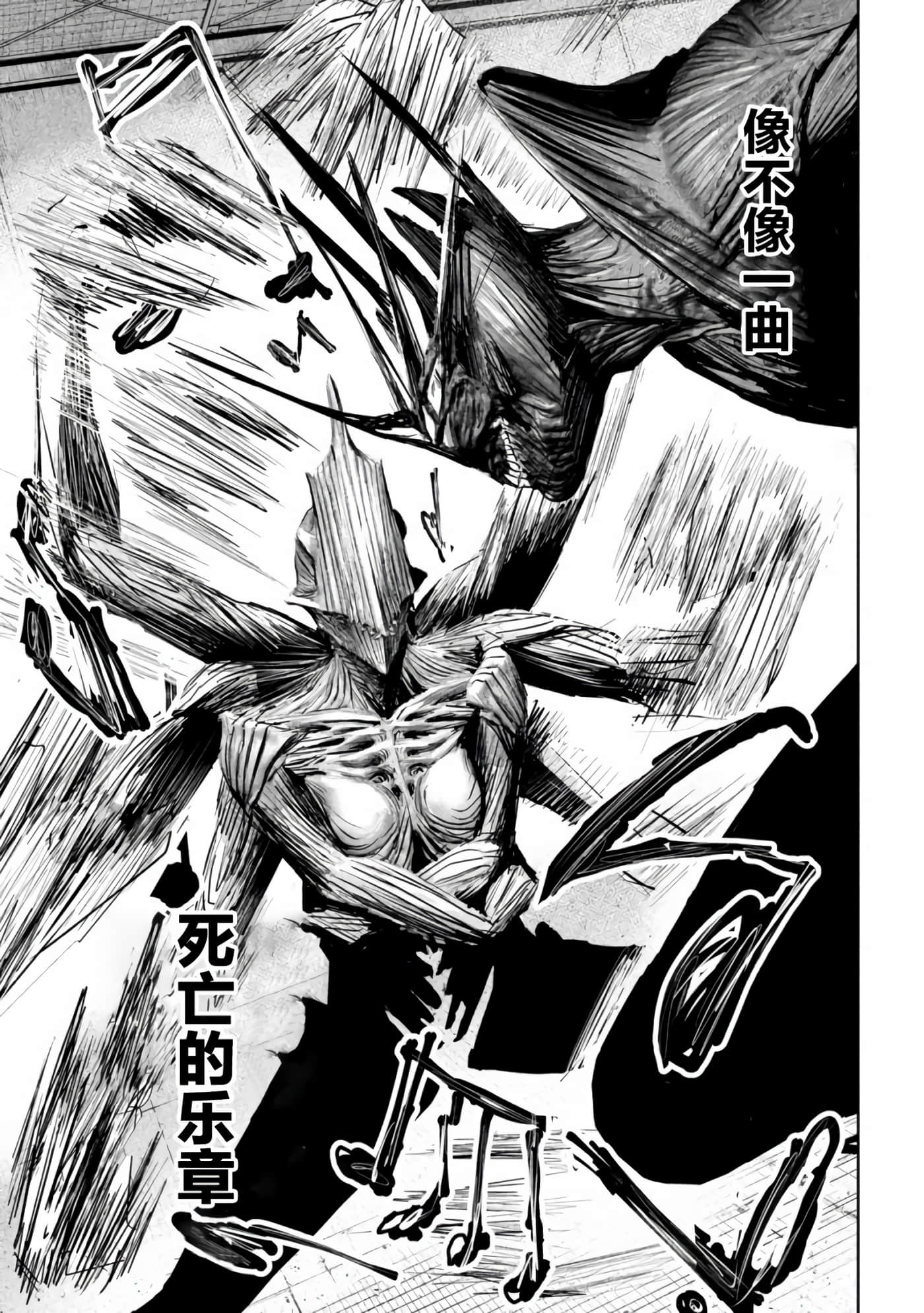 第 10 卷 第 5 页
