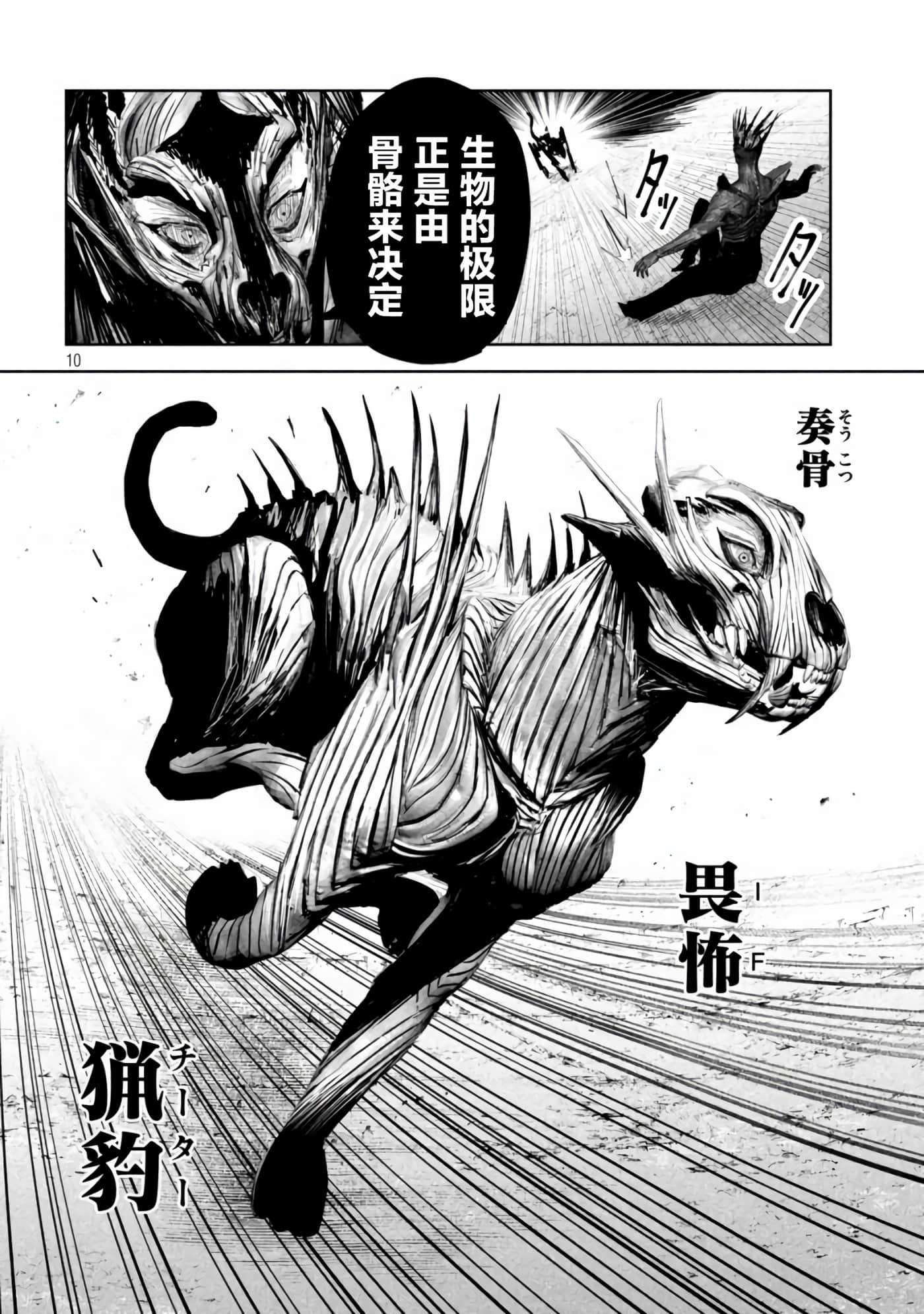 第 10 卷 第 10 页