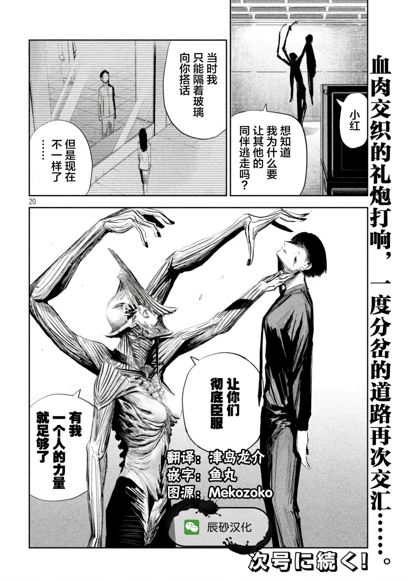第 8 卷 第 20 页