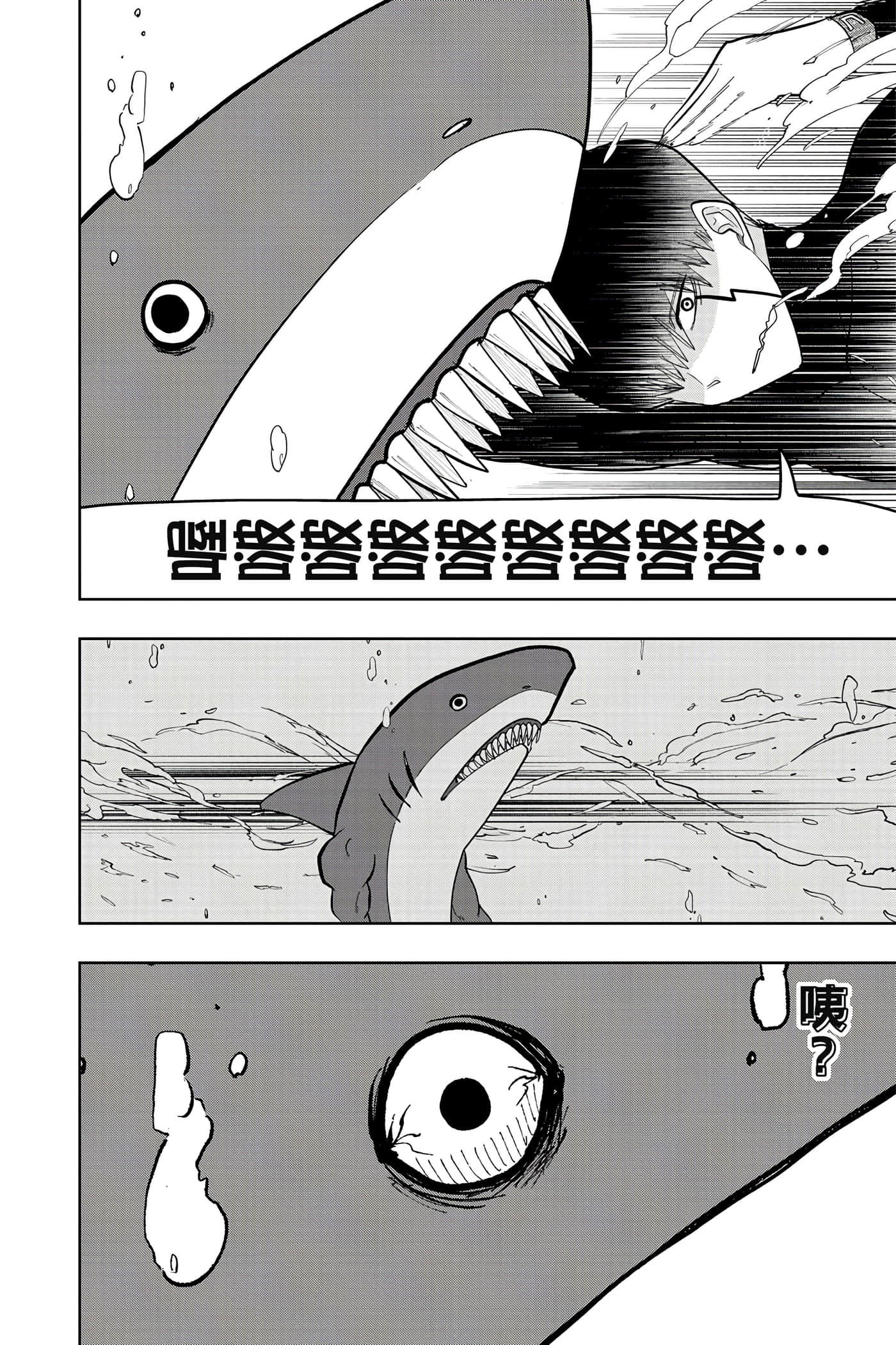 第 3 卷 第 51 页
