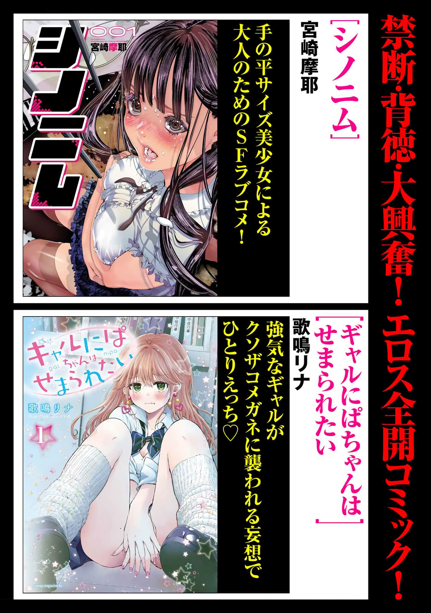 第 161 页
