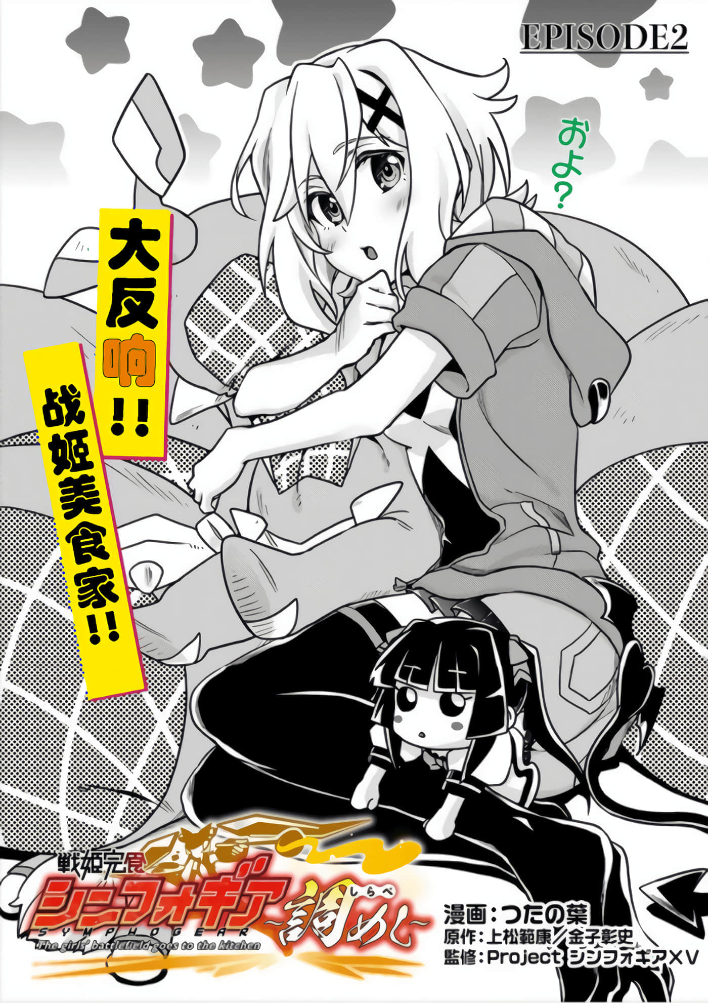第 2 页