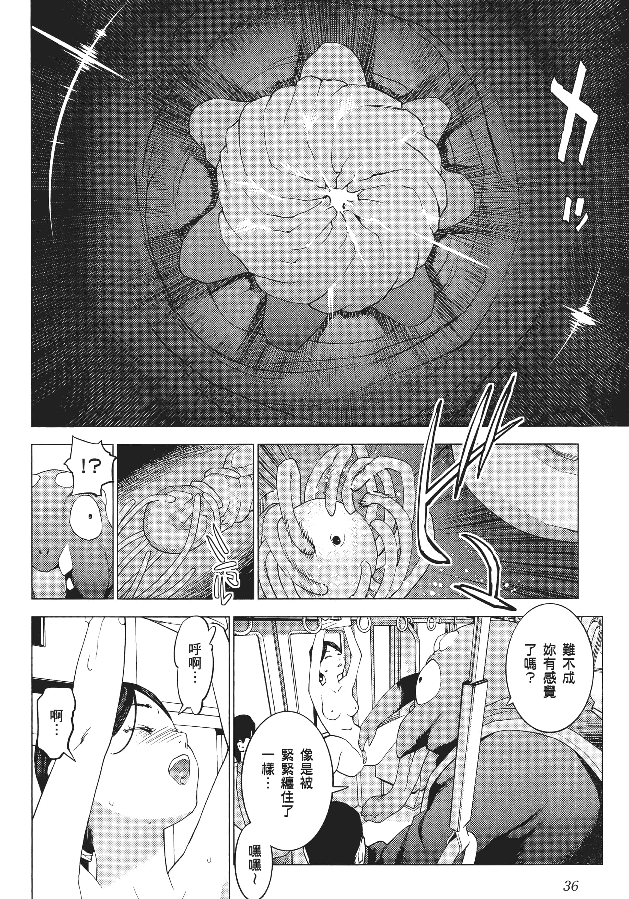 第 38 页