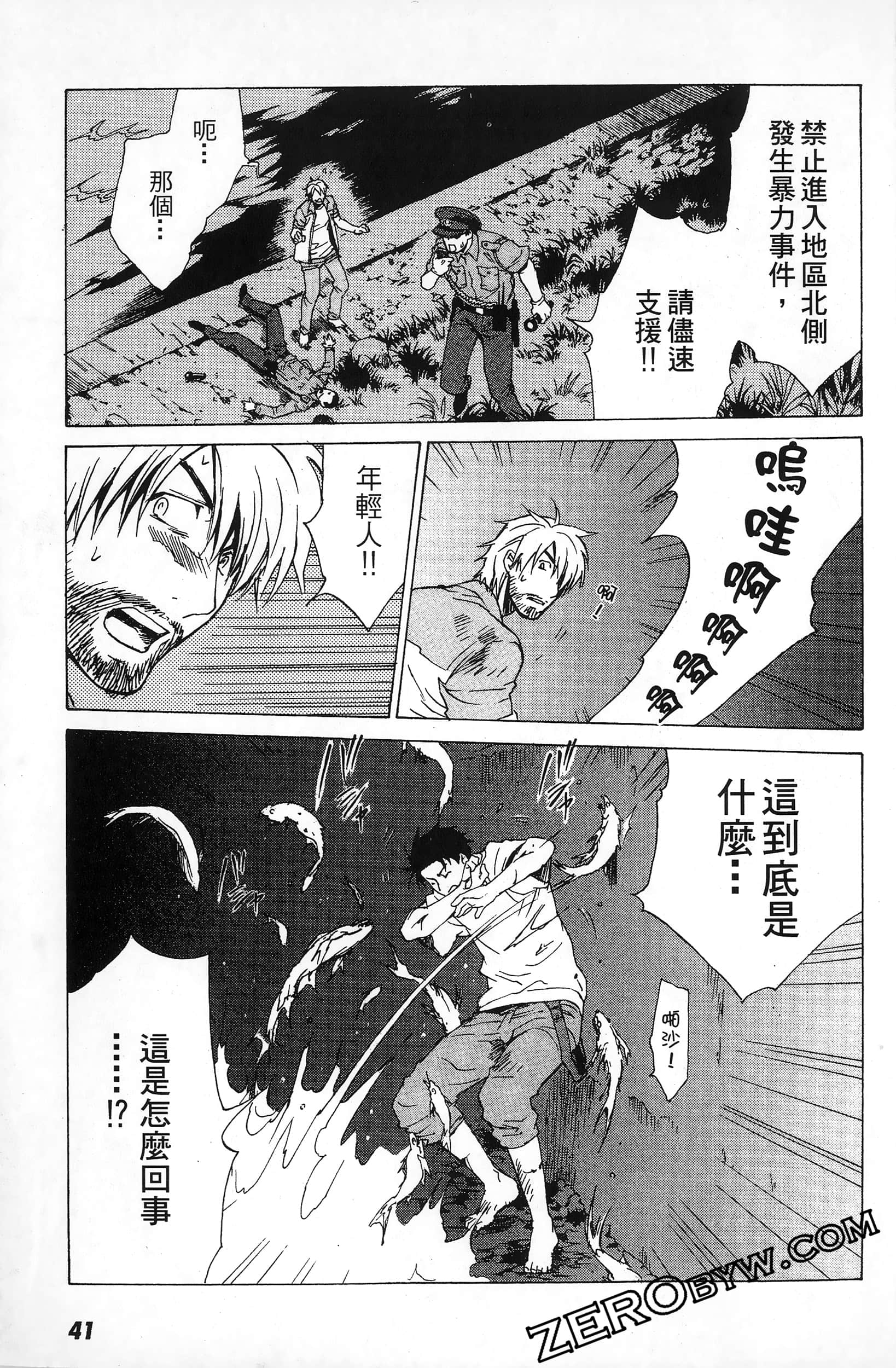 第 41 页