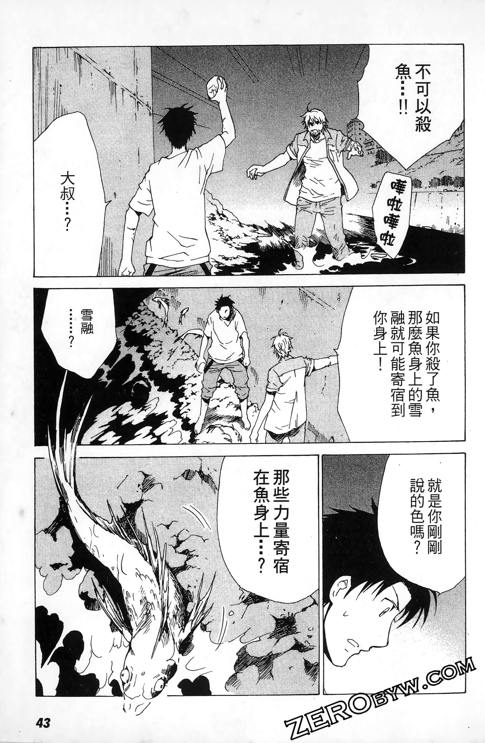 第 43 页