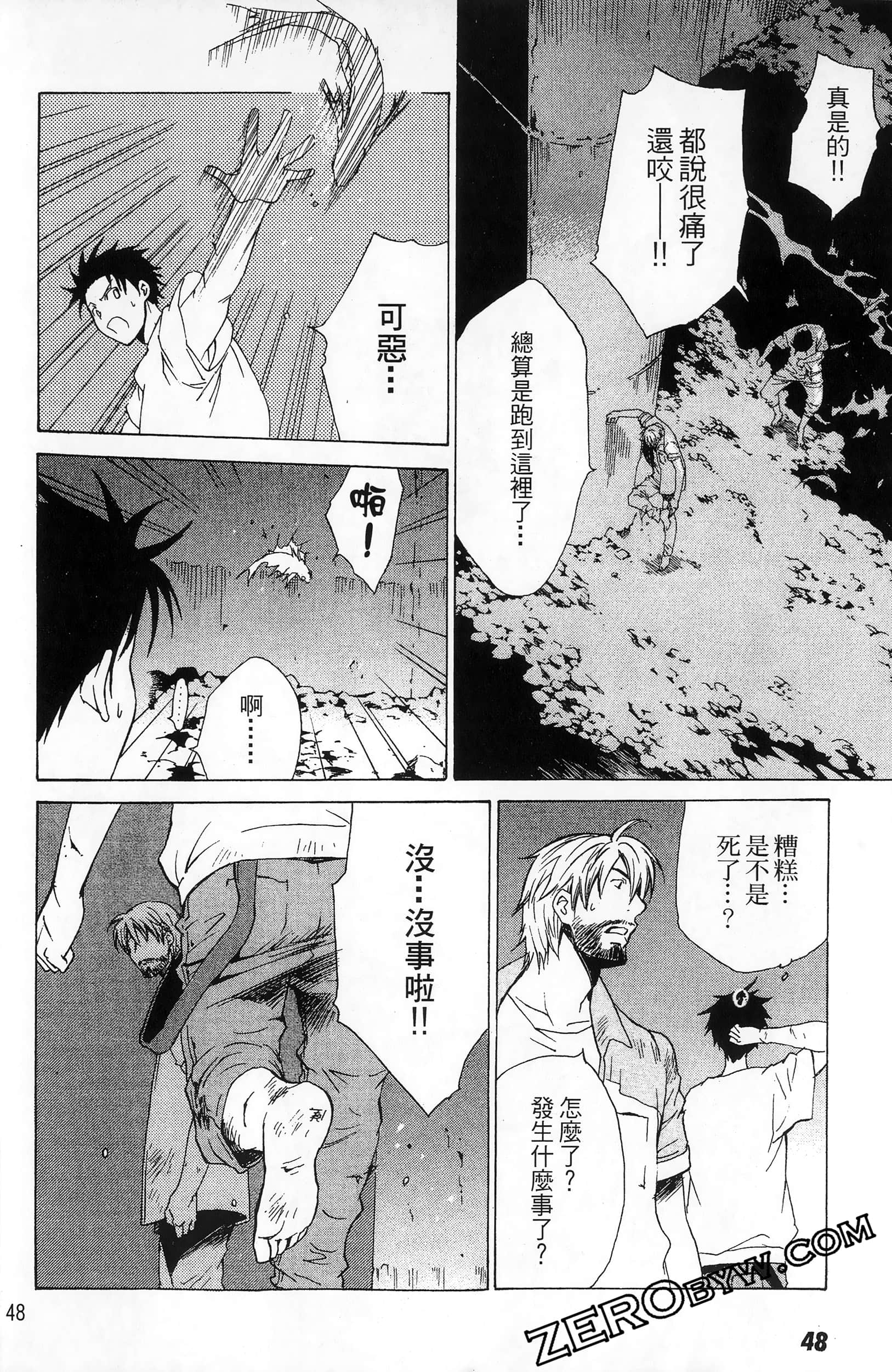 第 48 页
