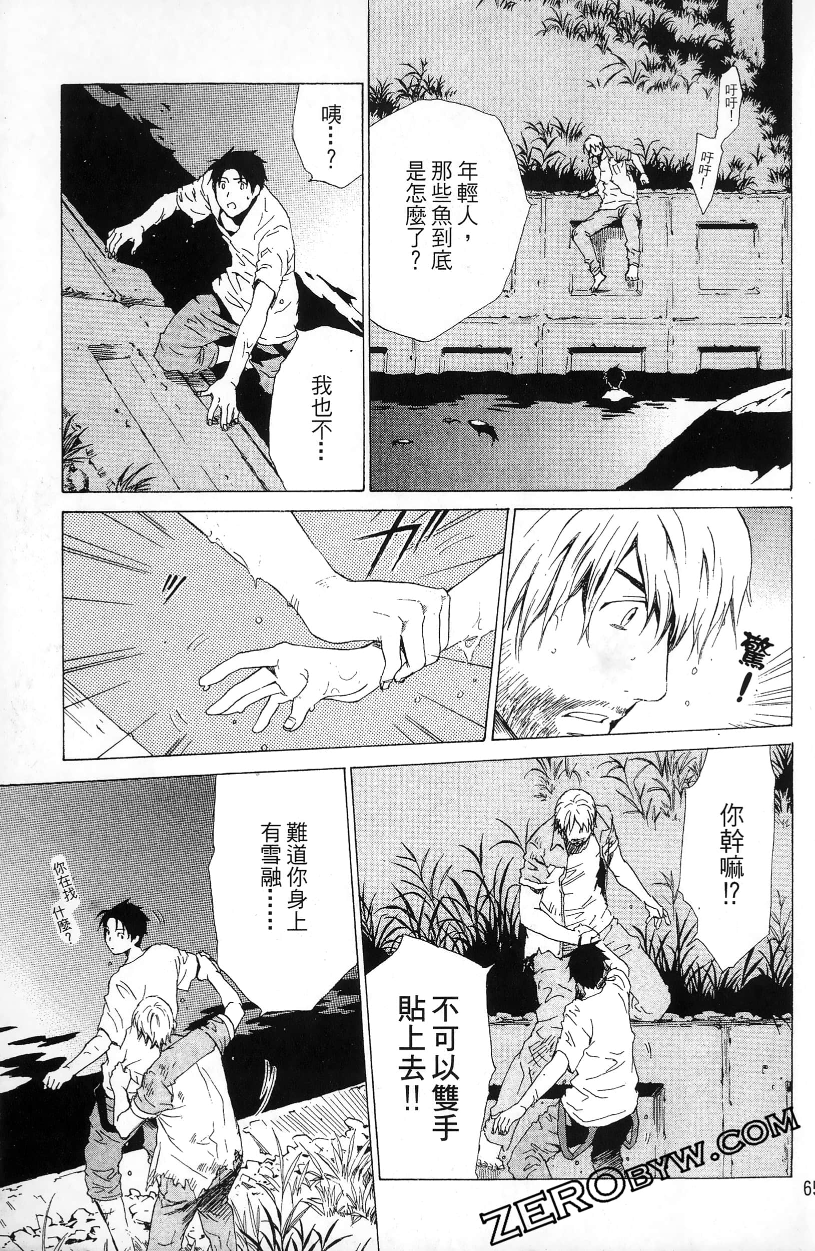 第 65 页