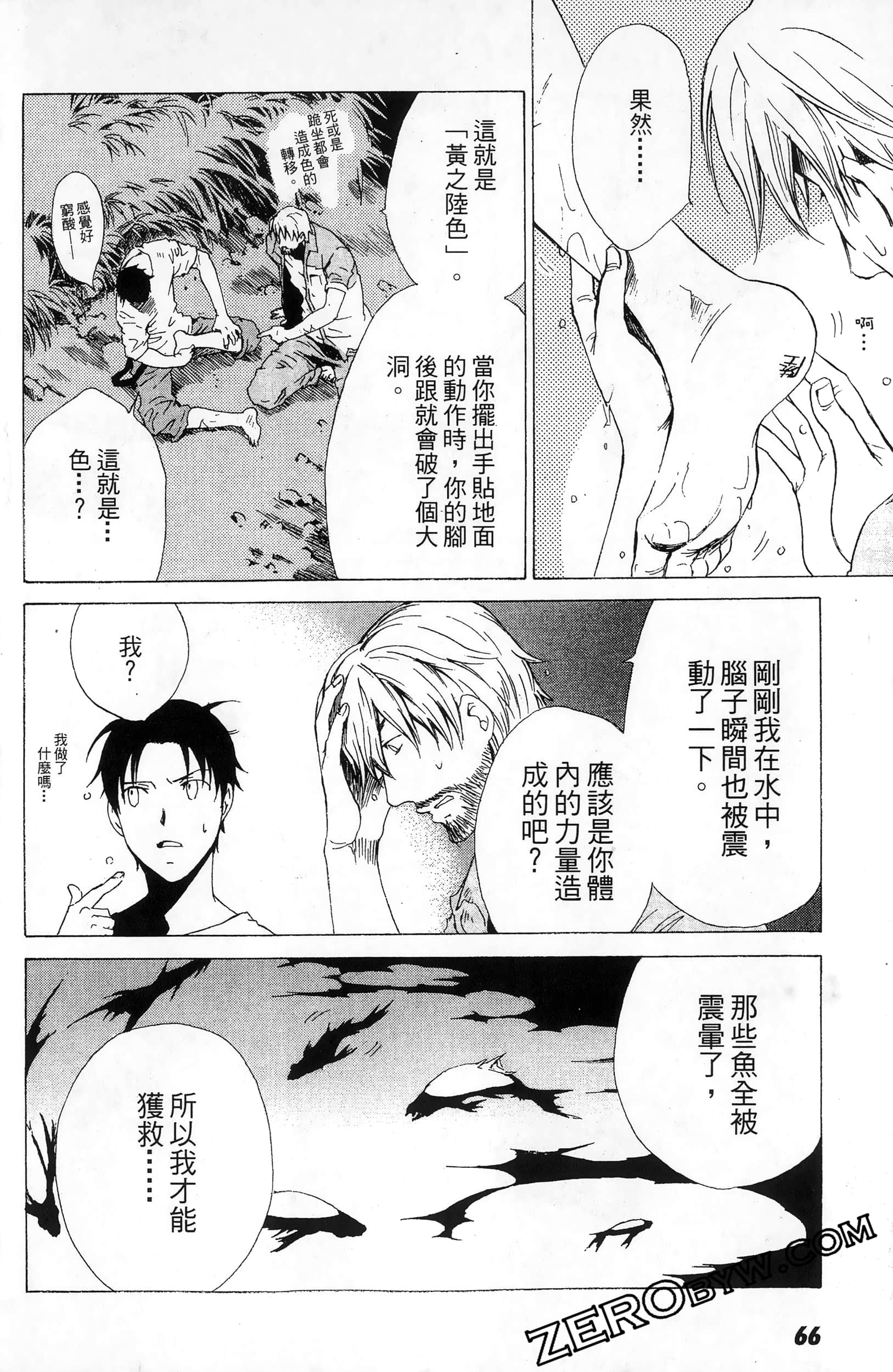 第 66 页