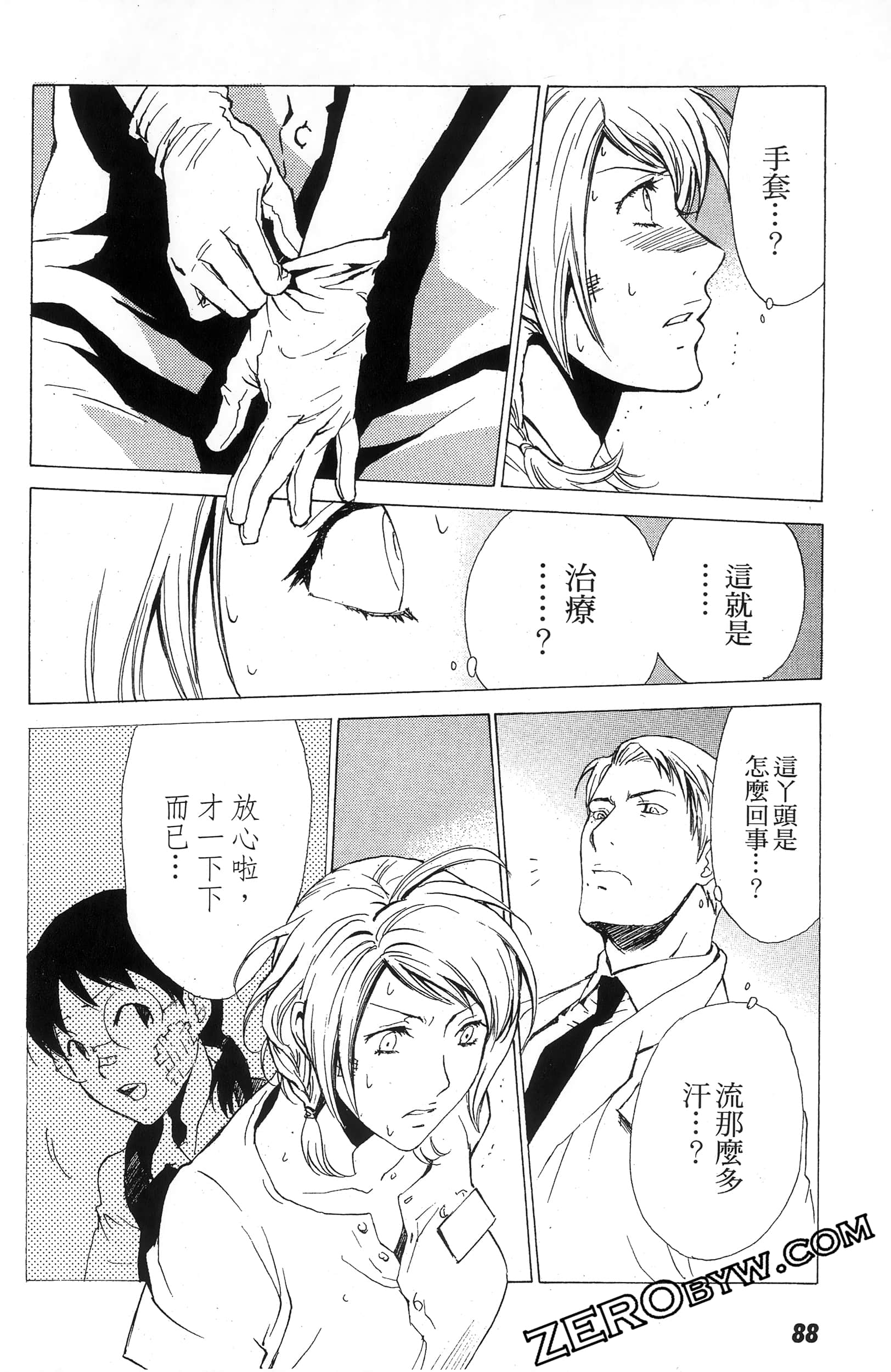 第 88 页