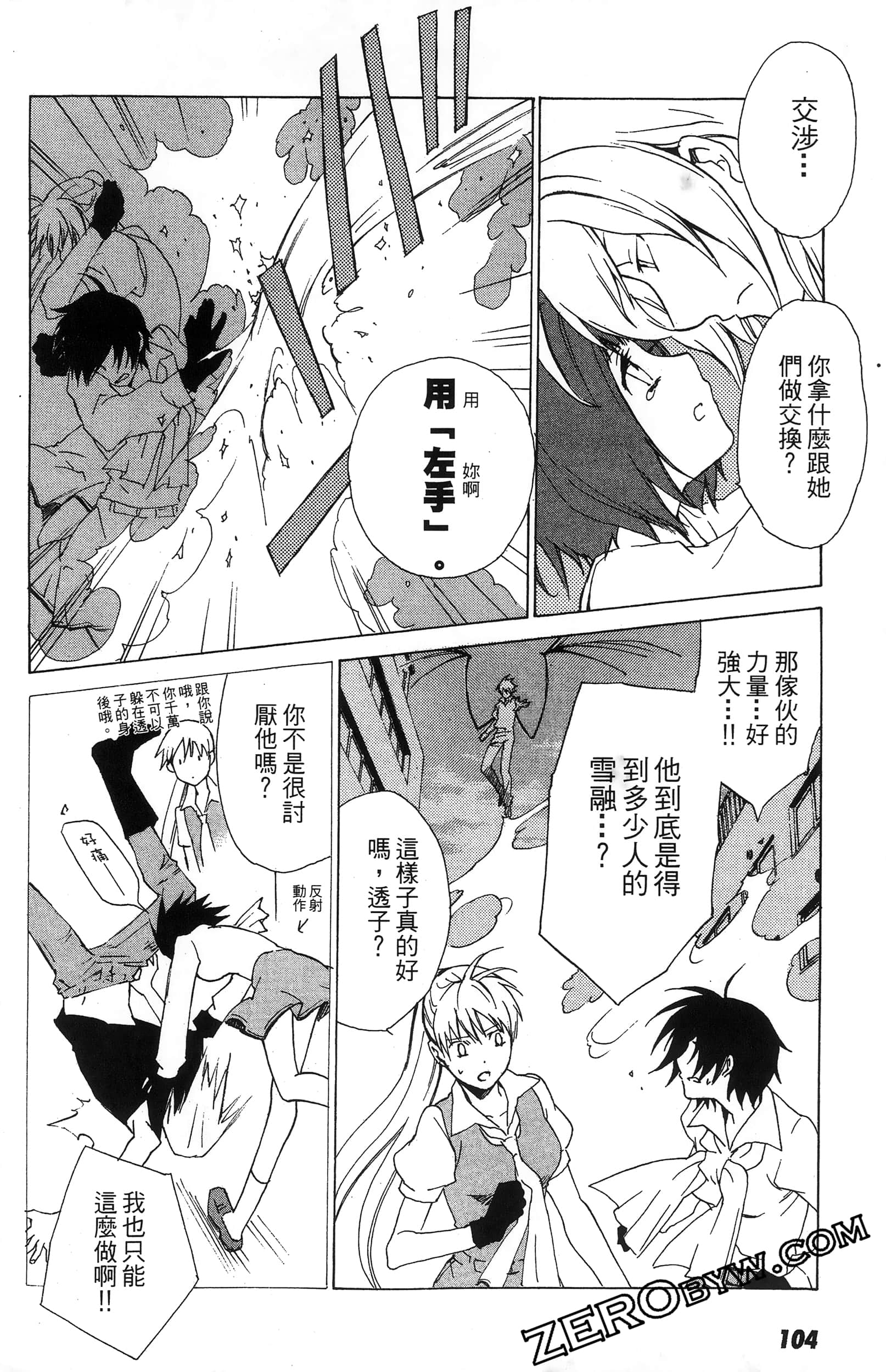 第 106 页