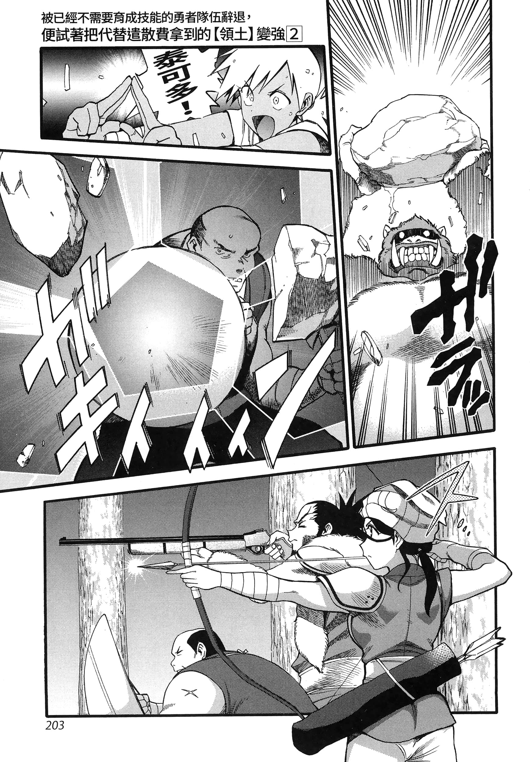 第 207 页