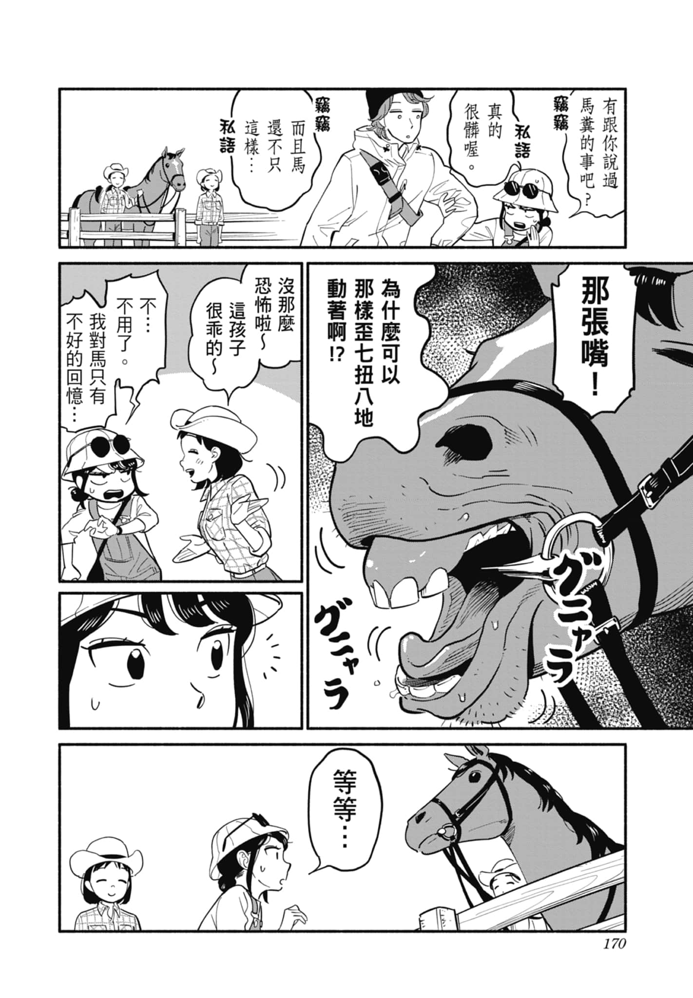 第 2 卷 第 171 页
