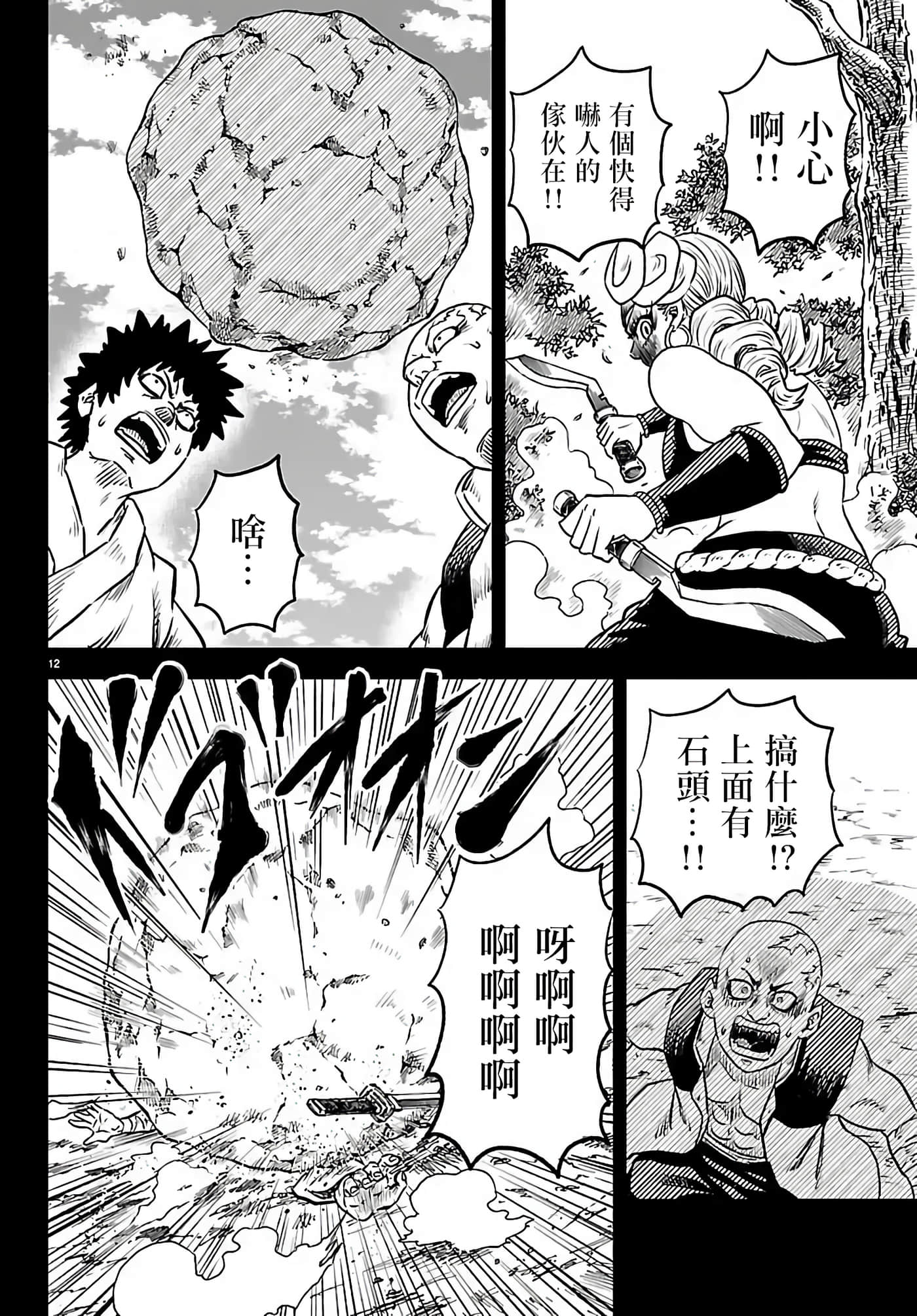 第 2 卷 第 12 页