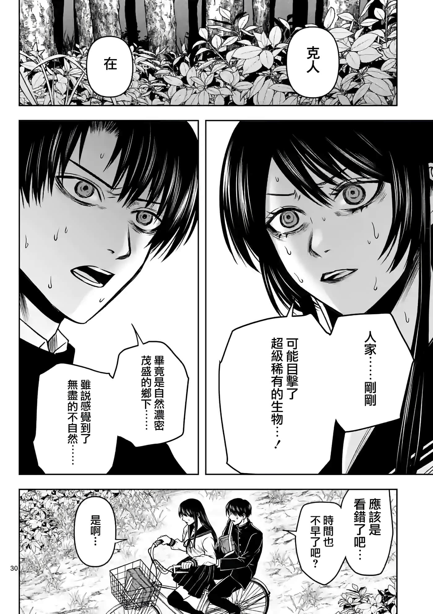 第 31 页
