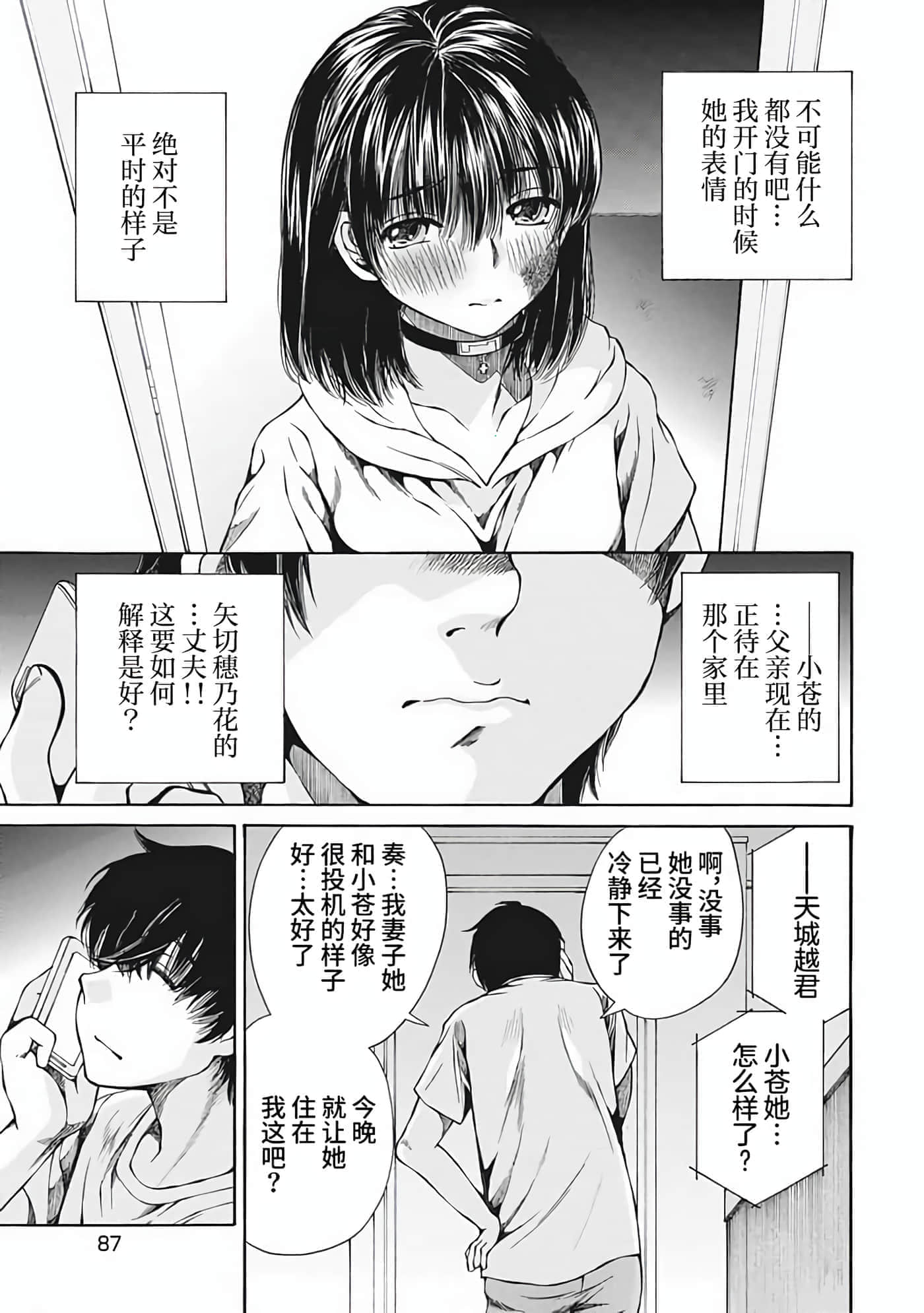 第 2 卷 第 87 页