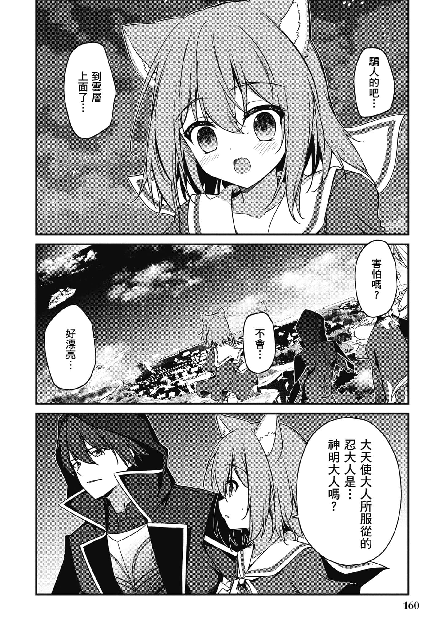 第 161 页