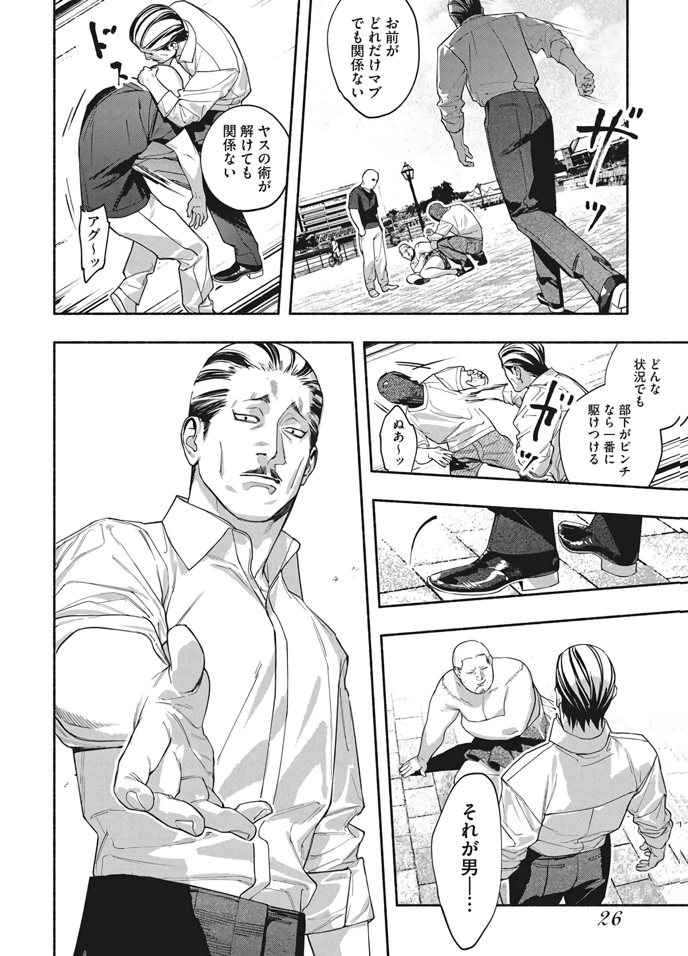 第 26 页